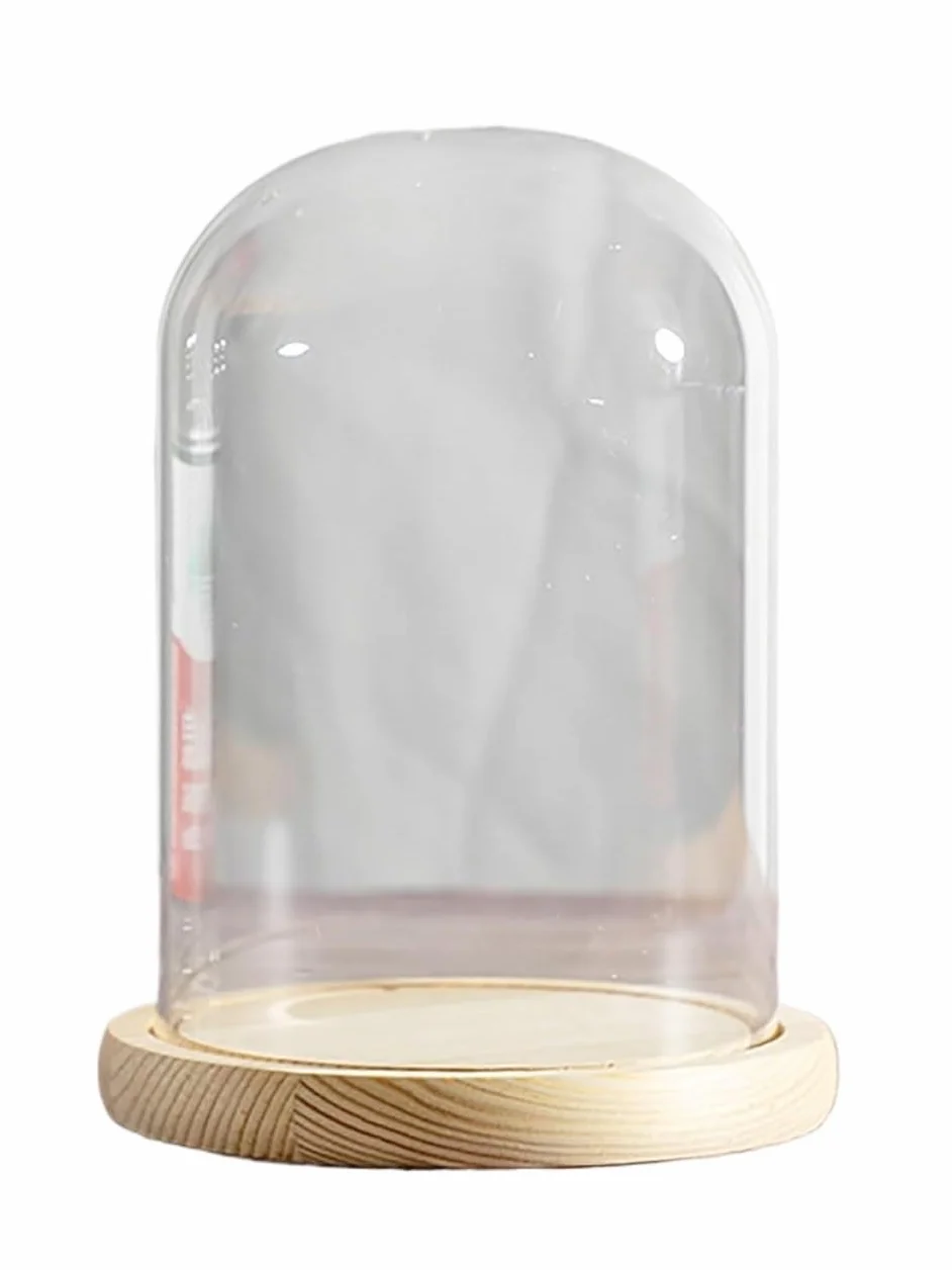 Cúpula de Cristal para expositores, Campana de Cristal con Base Madera for exhibición, 20 cm diámetro x (35-50) Altura(Dia20*H40cm)