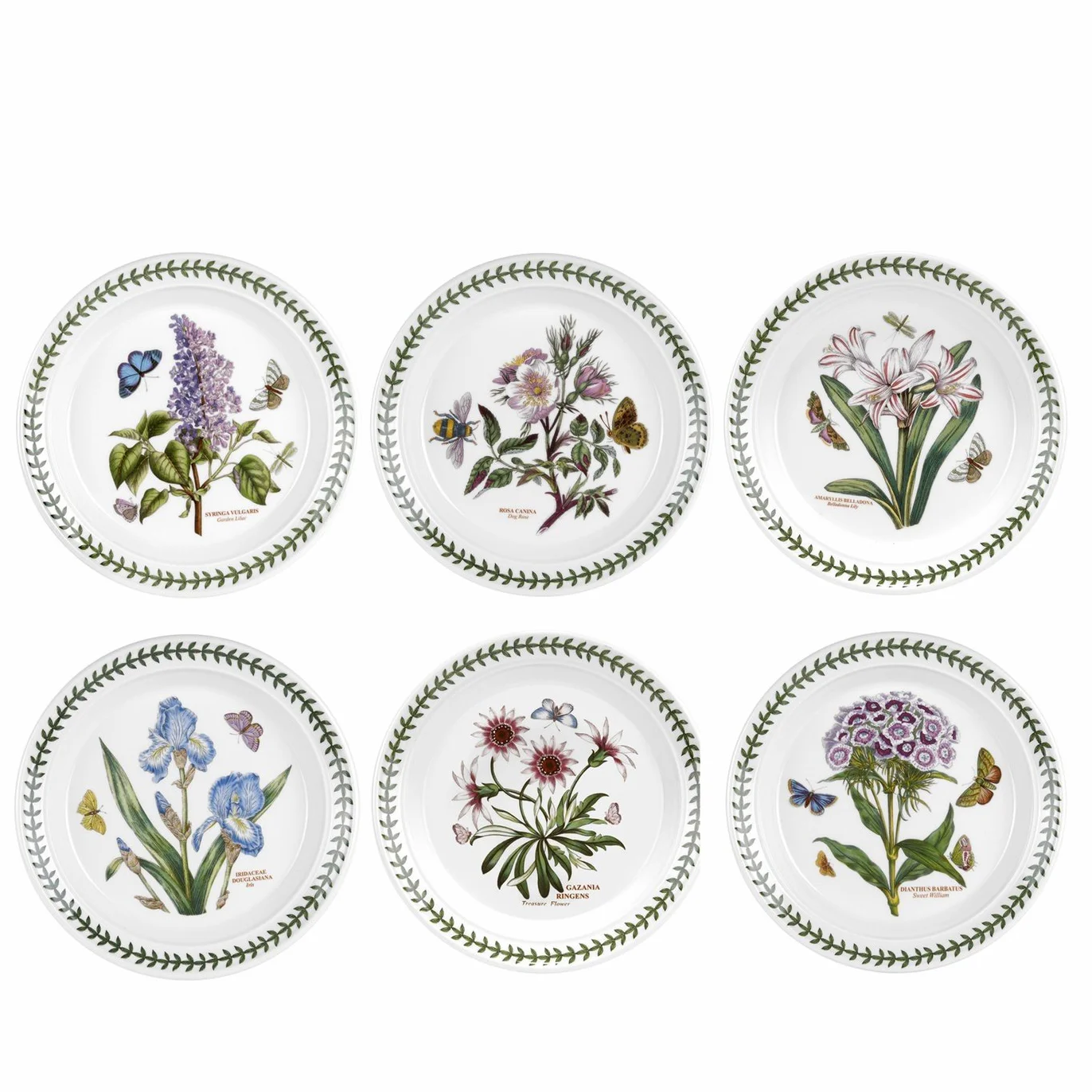 Portmeirion Botanic Garden Juego de 6 Platos Laterales, Loza, Blanco, 8 Inches, 6