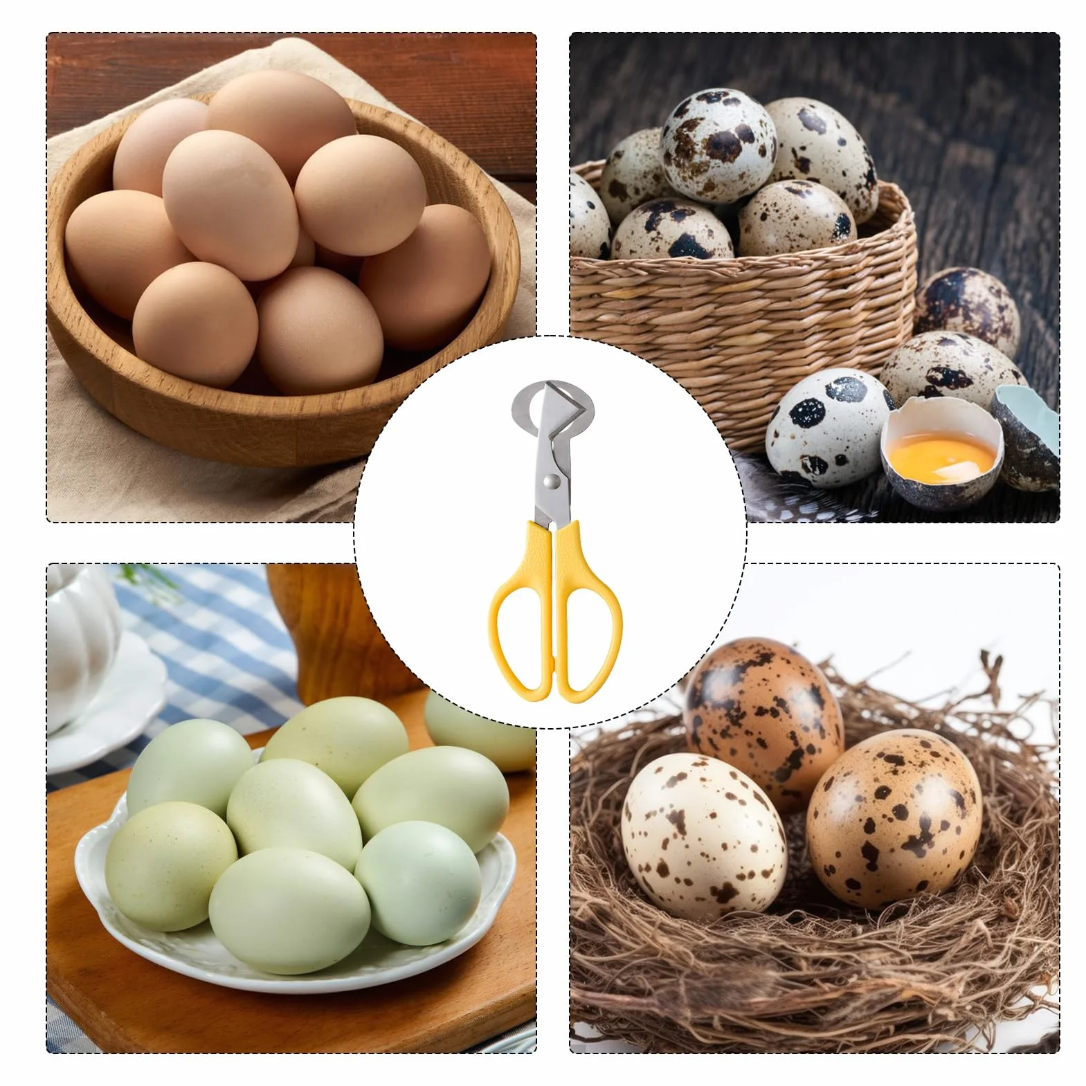 Tijeras de Huevo de Codorniz de Acero Inoxidable, Cortador de Huevos Pequeño