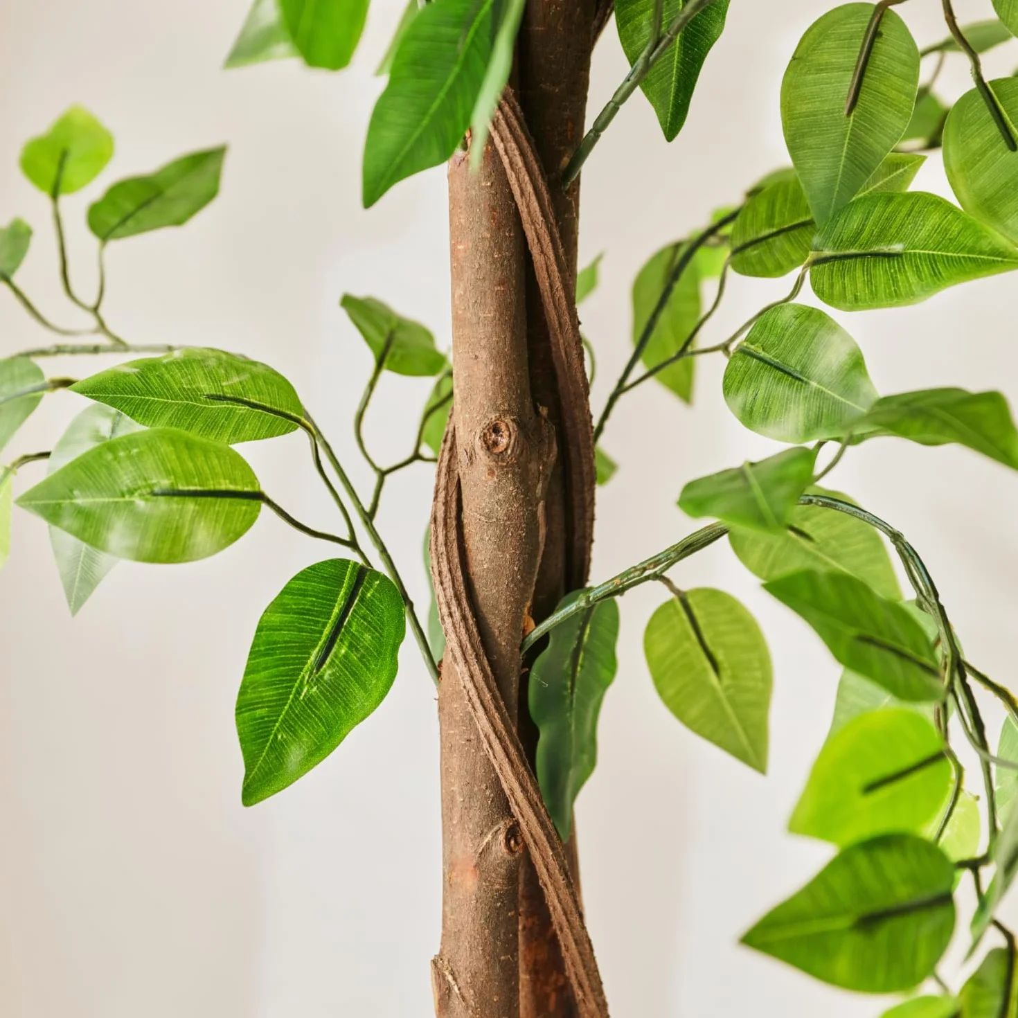 Bonerva | Ficus Nature 180 cm Altura | Planta Artificial con Tronco Natural | Ideal para Decorar Interiores: hogares, Negocios y hoteles