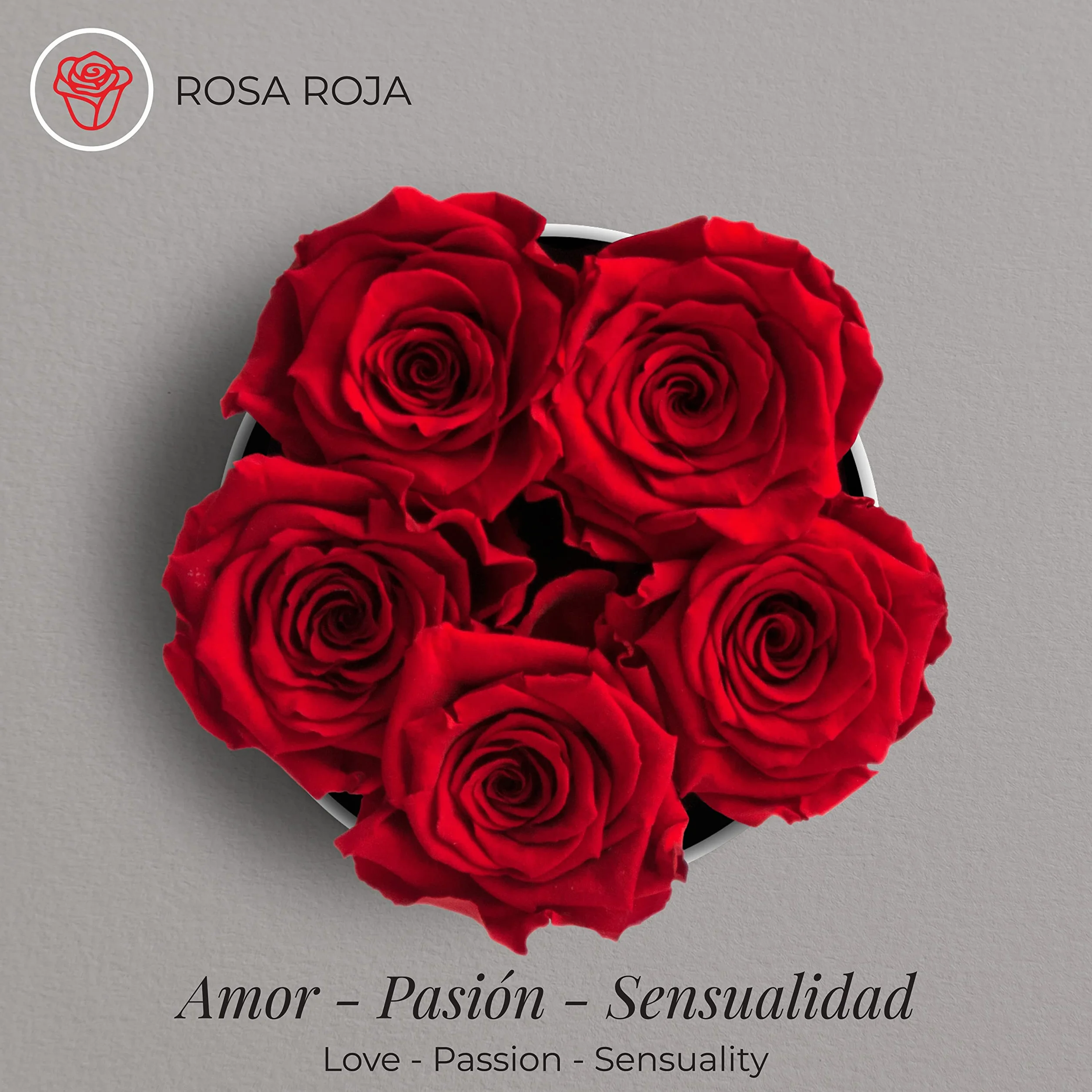 Amoroses Petite - Caja de Regalo 5 Rosas Eternas Estabilizadas - Elegante Ramo de Flores Reales | Idea de regalo (Petite Caja Blanca con Rosas Rojas)