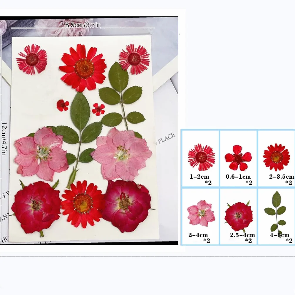 Flores Secas Naturales Mixtas 72 Piezas Kit para Resina Scrapbooking DIY