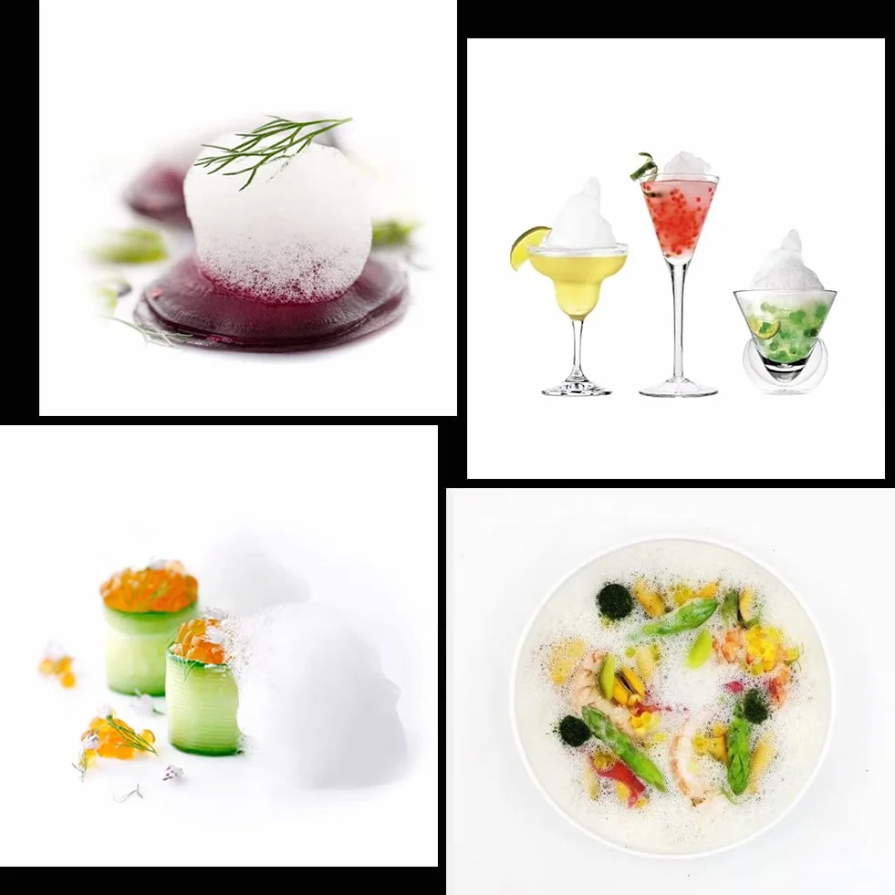 DUEBEL Generador de Espumas para Cocina Molecular, Kit de Espumación Profesional para Chefs, Accesorio Creativo de Alta Cocina con Piedra Difusora de Acero Inoxidable