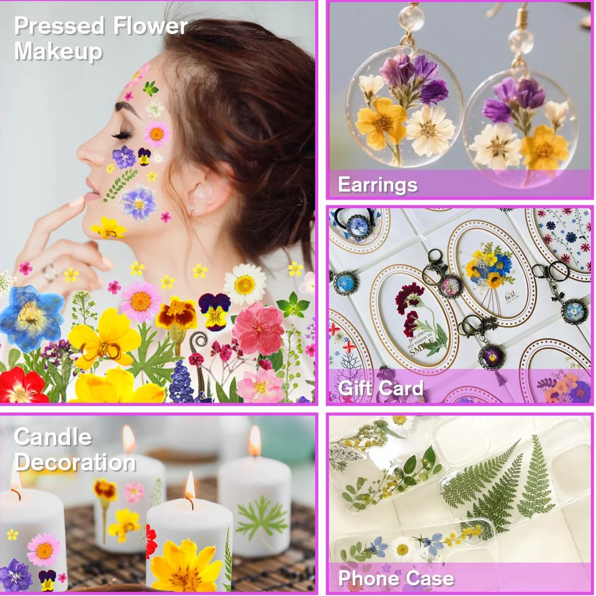 Flores Secas Naturales y Prensadas Coloridas 120 Piezas con Pegatinas de Mariposa 30 Piezas para DIY Joyería Velas Resina Scrapbooking