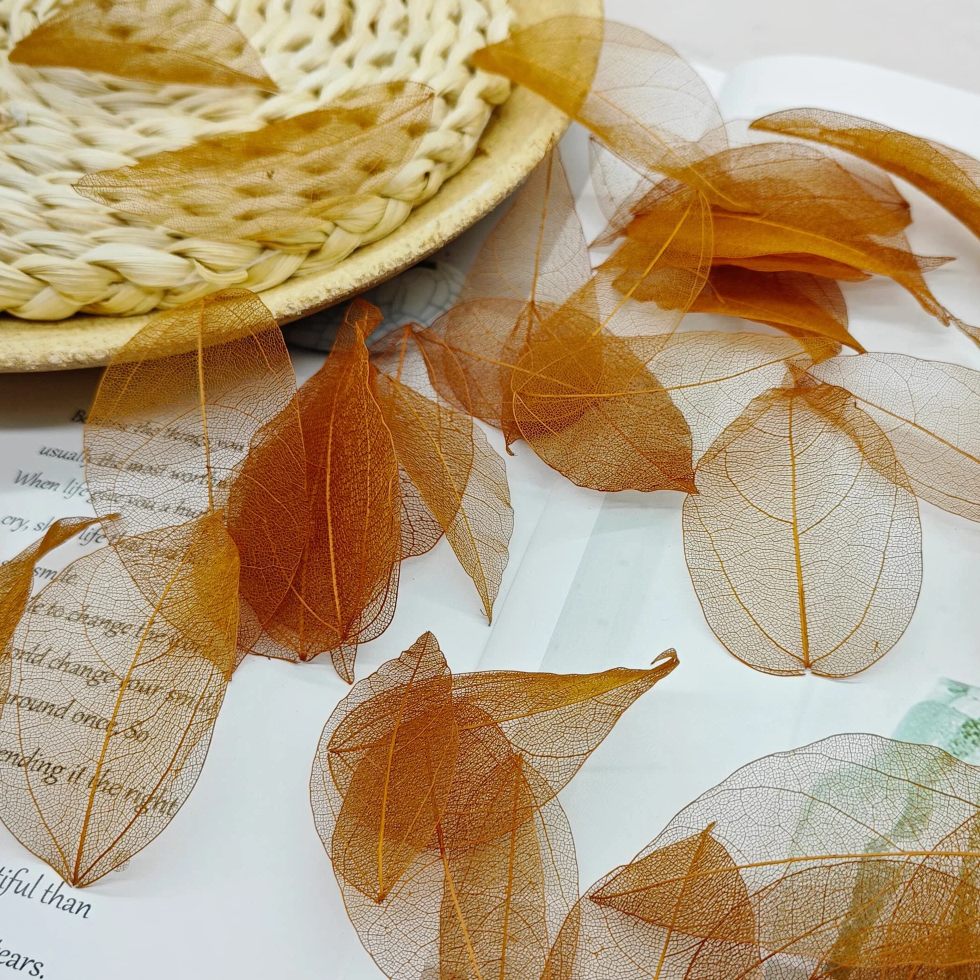 Hojas de Esqueleto Naturales Secos para Scrapbooking Bricolaje Cartonaje (marrón C)