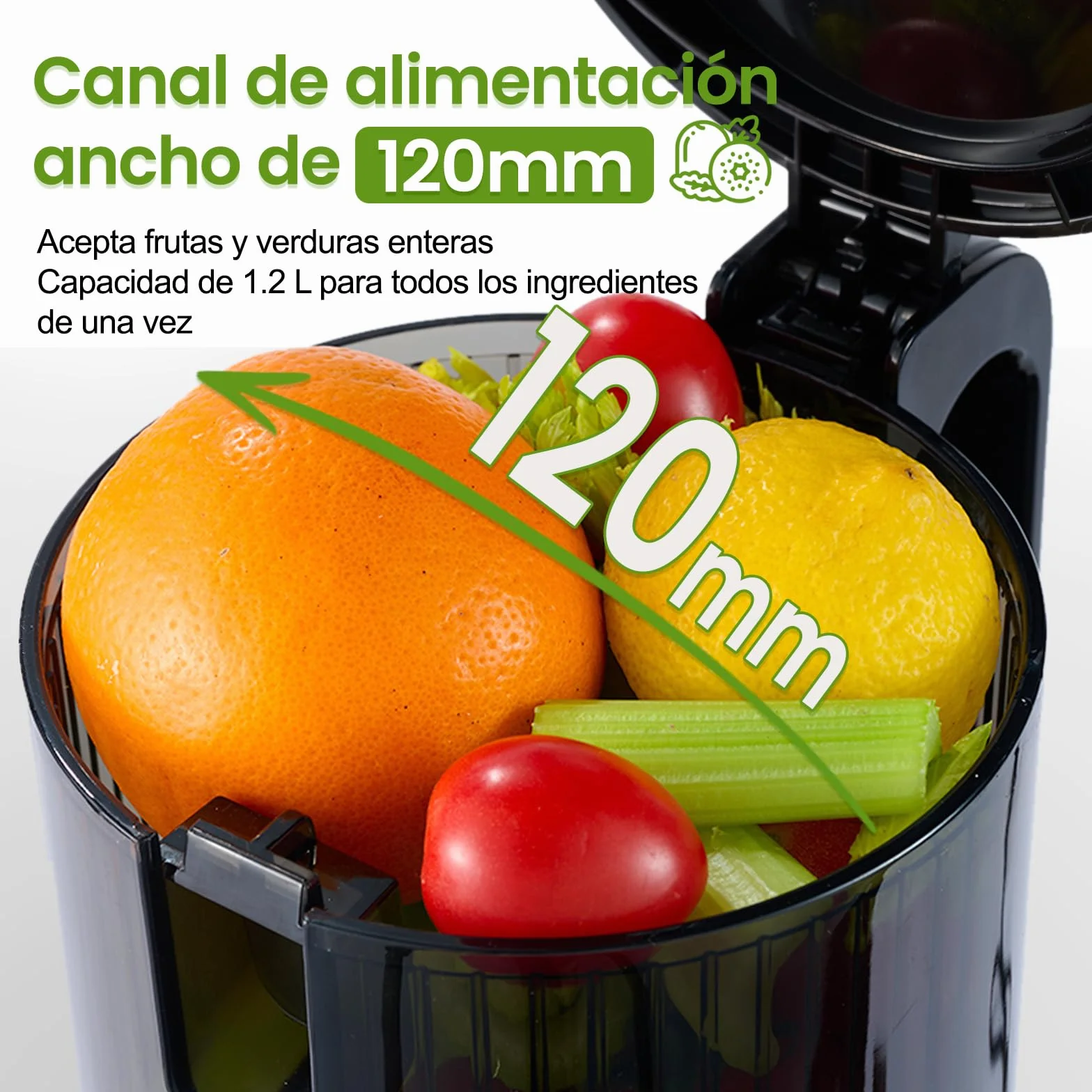 Ventray Extractor de Zumos Slow Juicer | Prensado en Frío con Apertura Ancha de 120mm para Frutas y Verduras Enteras | Sistema de Doble Filtrado | Fácil Limpieza | 250W | Sin BPA - Marfil