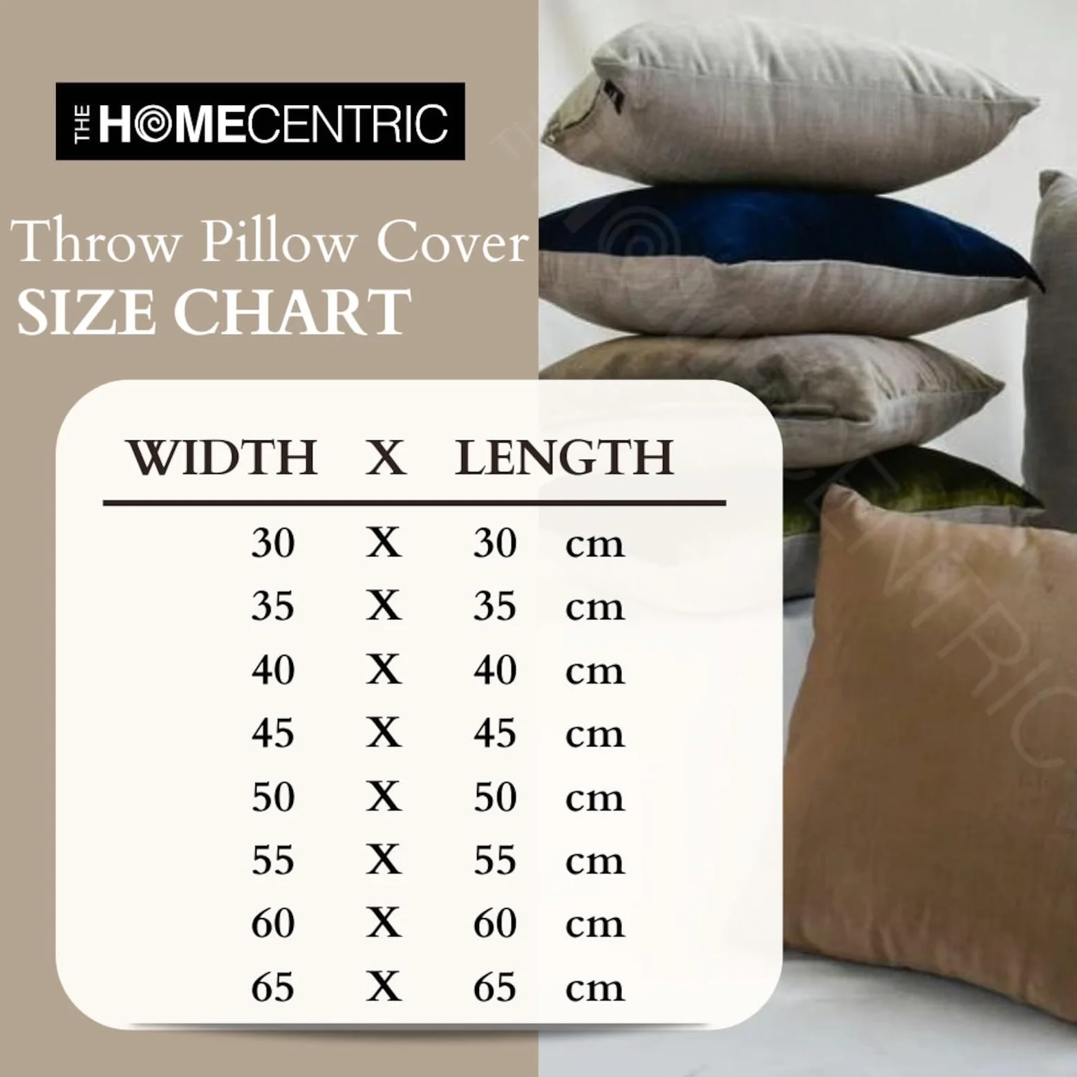 The HomeCentric Funda de Almohada Decorativa Beige Raya Beige Y Marfil Seda 60 x 60 cm Beige, Funda de cojin Hecha a Mano Seda Jacquard - Striped with Beige