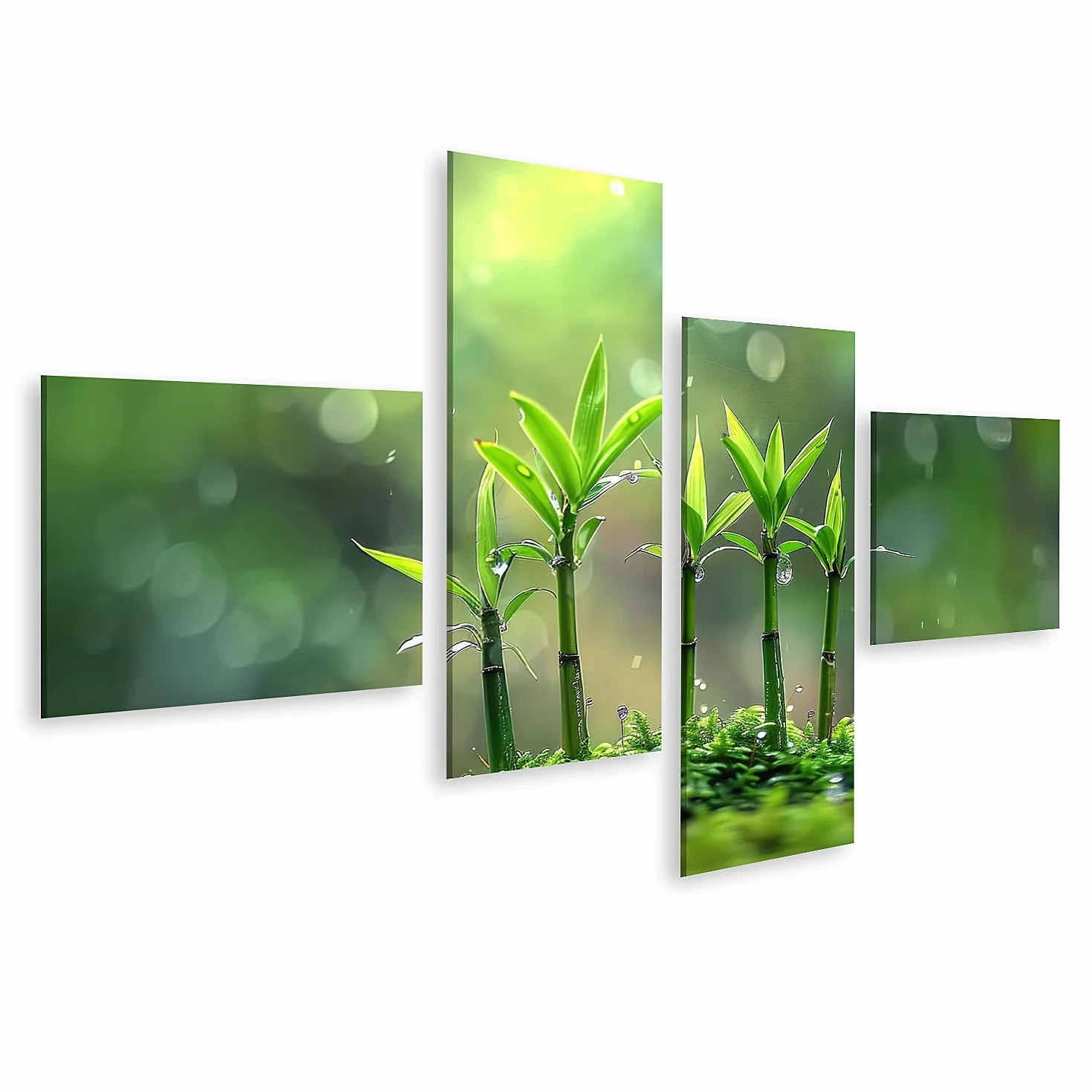 islandburner Cuadro sobre lienzo jóvenes brotes de bambú en el rocío de la mañana para jardín zen amantes de la naturaleza spa spa imágenes murales póster