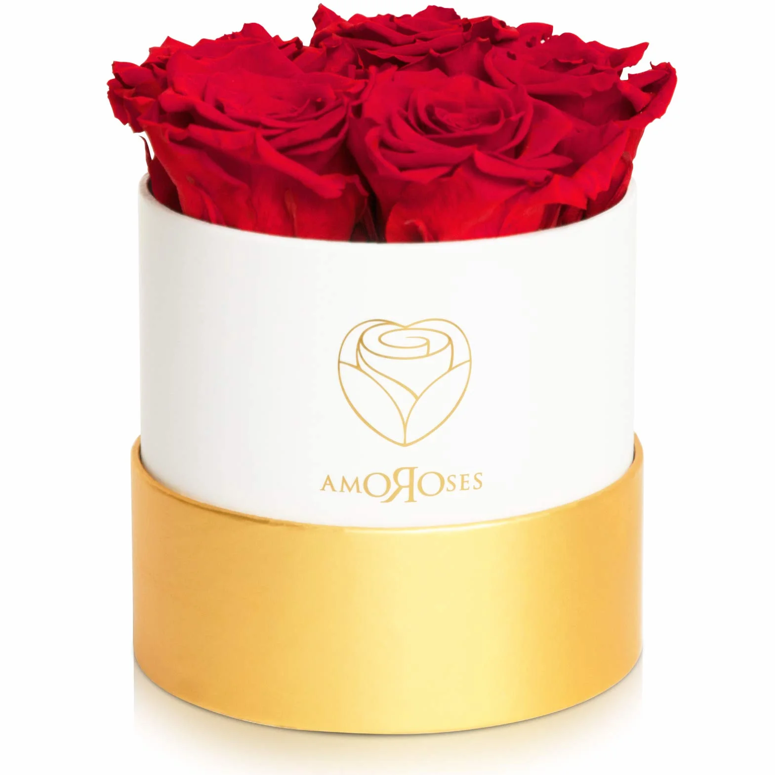 Amoroses Petite - Caja de Regalo 5 Rosas Eternas Estabilizadas - Elegante Ramo de Flores Reales | Idea de regalo (Petite Caja Blanca con Rosas Rojas)