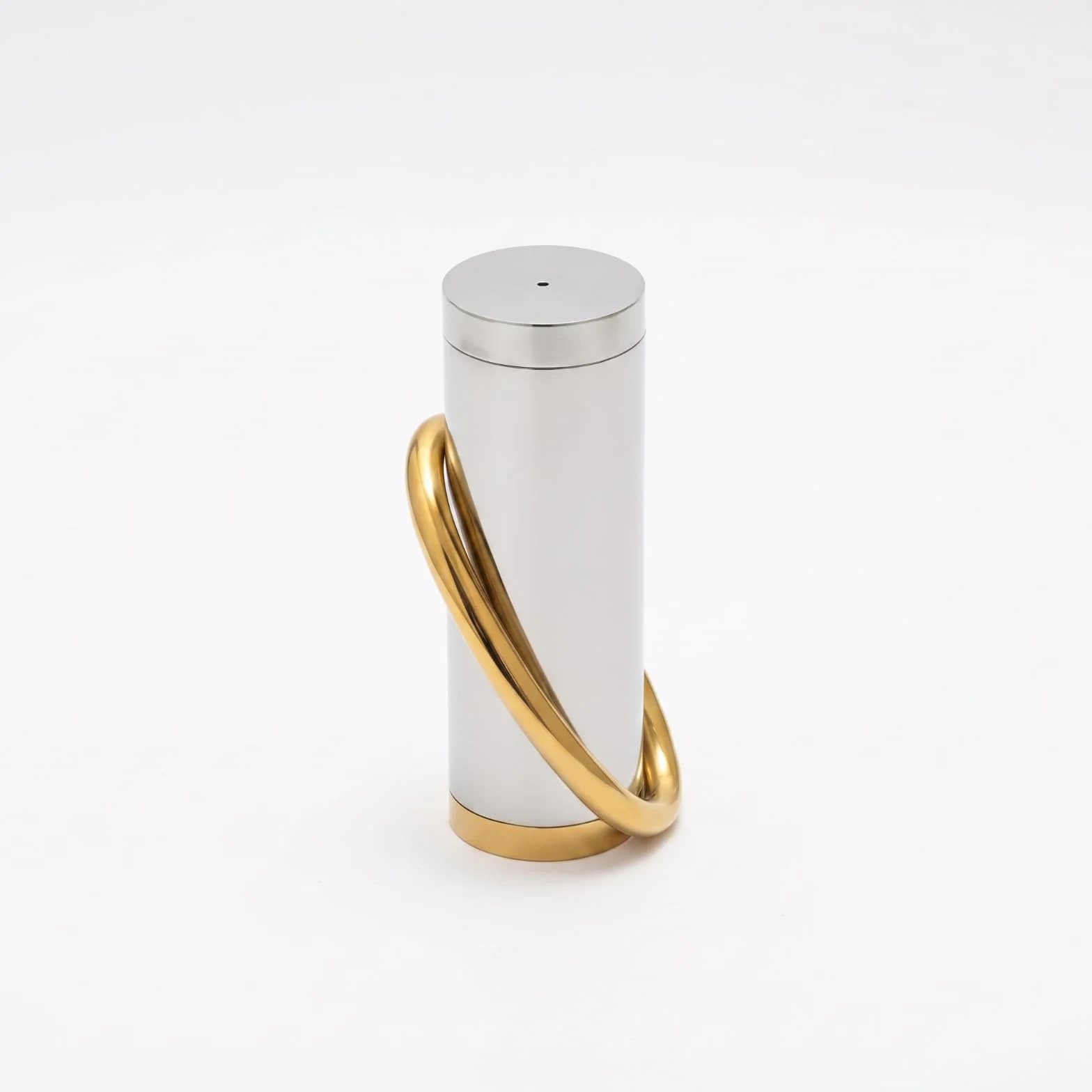 Contenedor de Especias de Cocina Bote Dispensador Tarro de Condimentos Acero Inoxidable con Tapa Orificio Dosificador Diseño Compacto Antihumedad