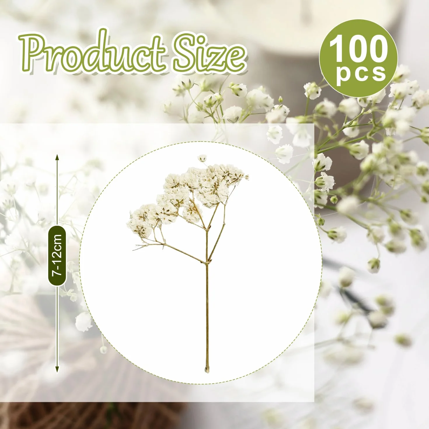 Flores Secas Pequeñas Naturales Paniculata Preservada Blanco para Joyería de Resina y Bricolaje 100 Piezas