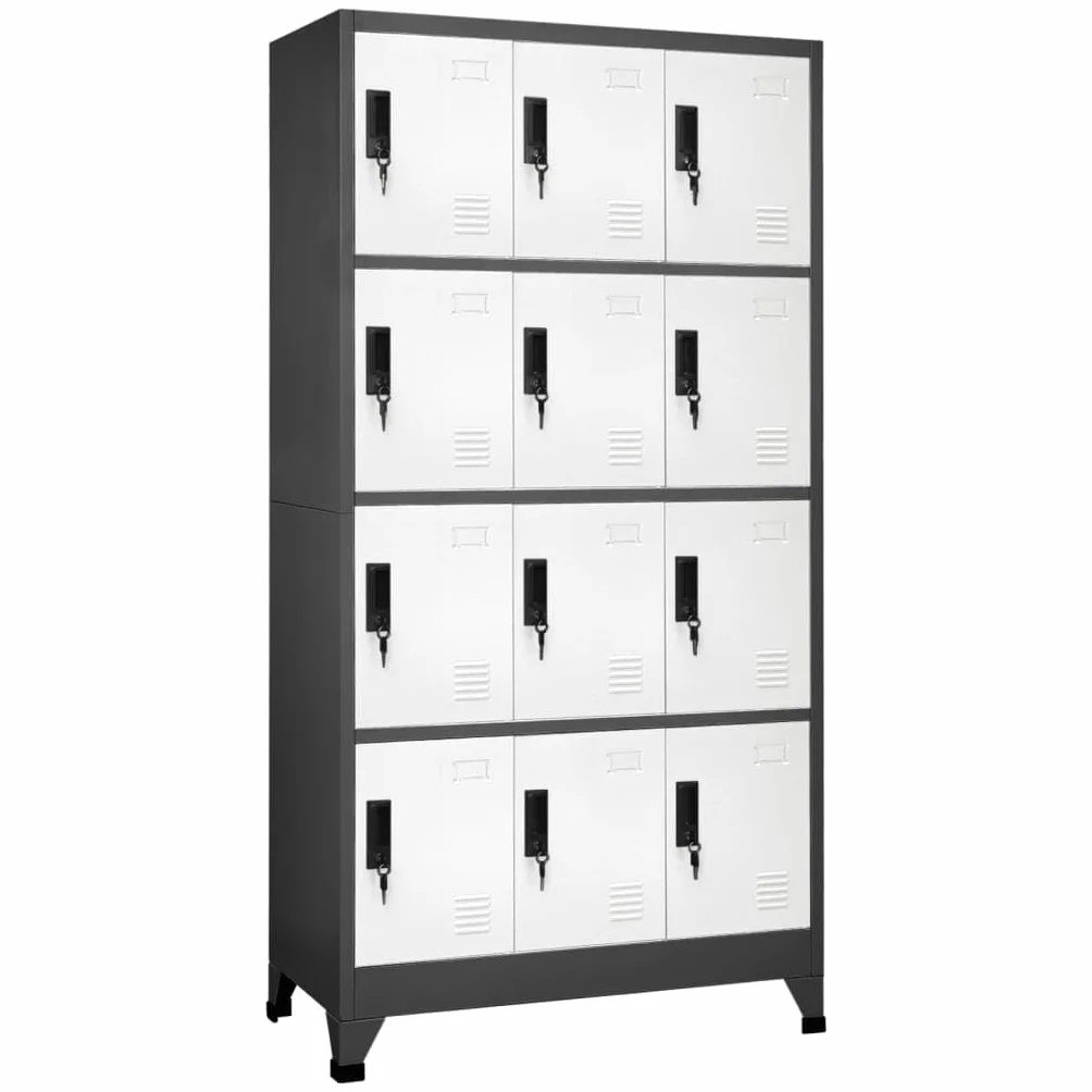Brokky Taquillas metalicas Taquillas Vestuario 12 Puertas con Llave para Colegios y Oficinas-Antracita y Blanco-con 12 cerraduras