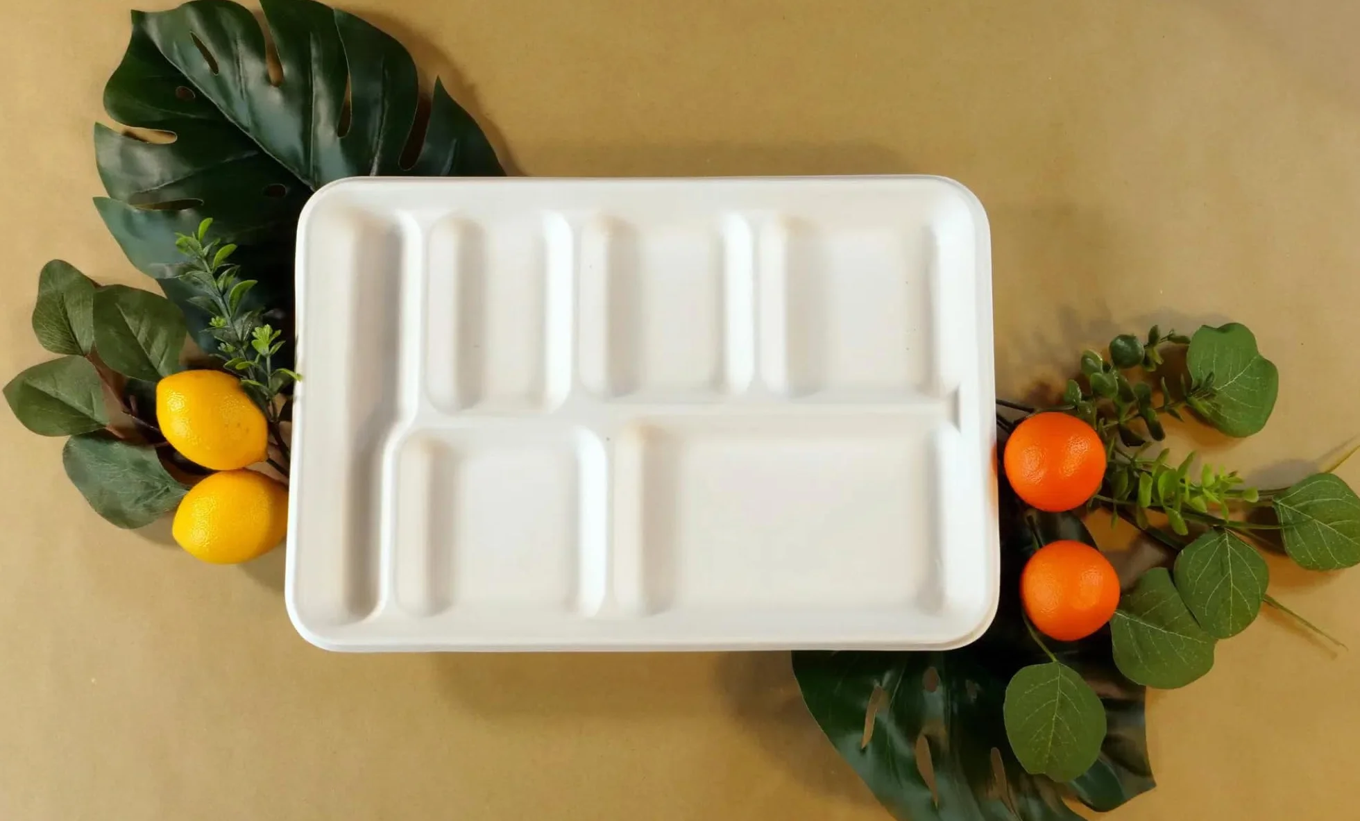 HARSHU - Platos de caña de azúcar de 6 compartimentos, paquete de 25, platos desechables ecológicos, vajilla biodegradable y compostable para fiestas, eventos y catering