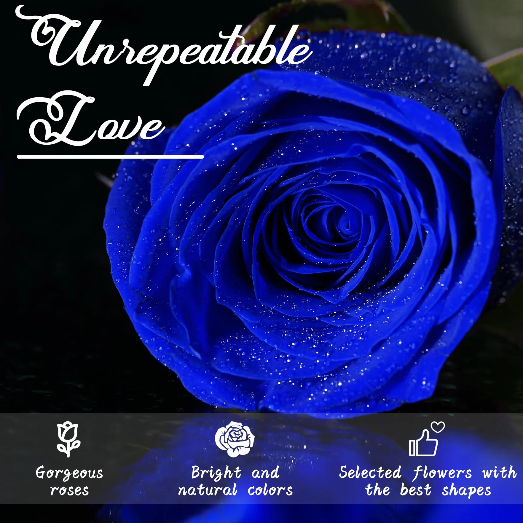 Rosa Eterna Azul con Tallo Flores Preservadas Regalo San Valentín