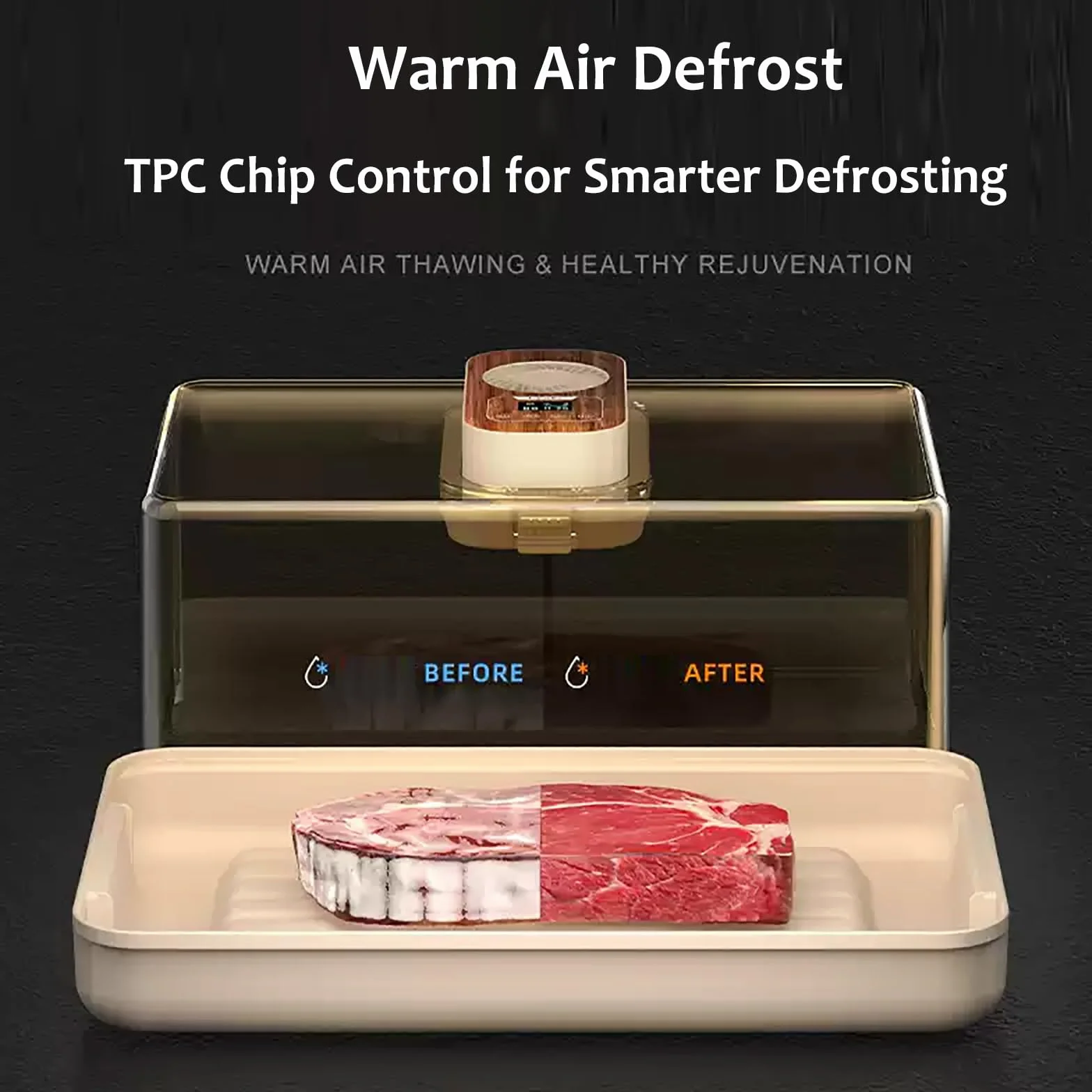 Descongelador Eléctrico De Carne De 100 W, con Temporizador, Control De Velocidad del Ventilador Y Temperatura, Gran Capacidad De 19 L, Ideal para Descongelar Filetes, Pechugas De Pollo