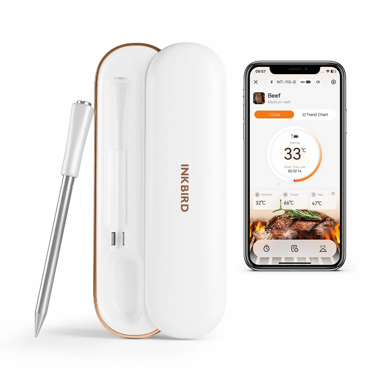 INKBIRD Termómetro de carne inalámbrico Bluetooth. Sonda de carne multisensor precisa, con alarmas de temperatura alta y baja e indicador de tiempo de cocción, ideal para principiantes de barbacoa y