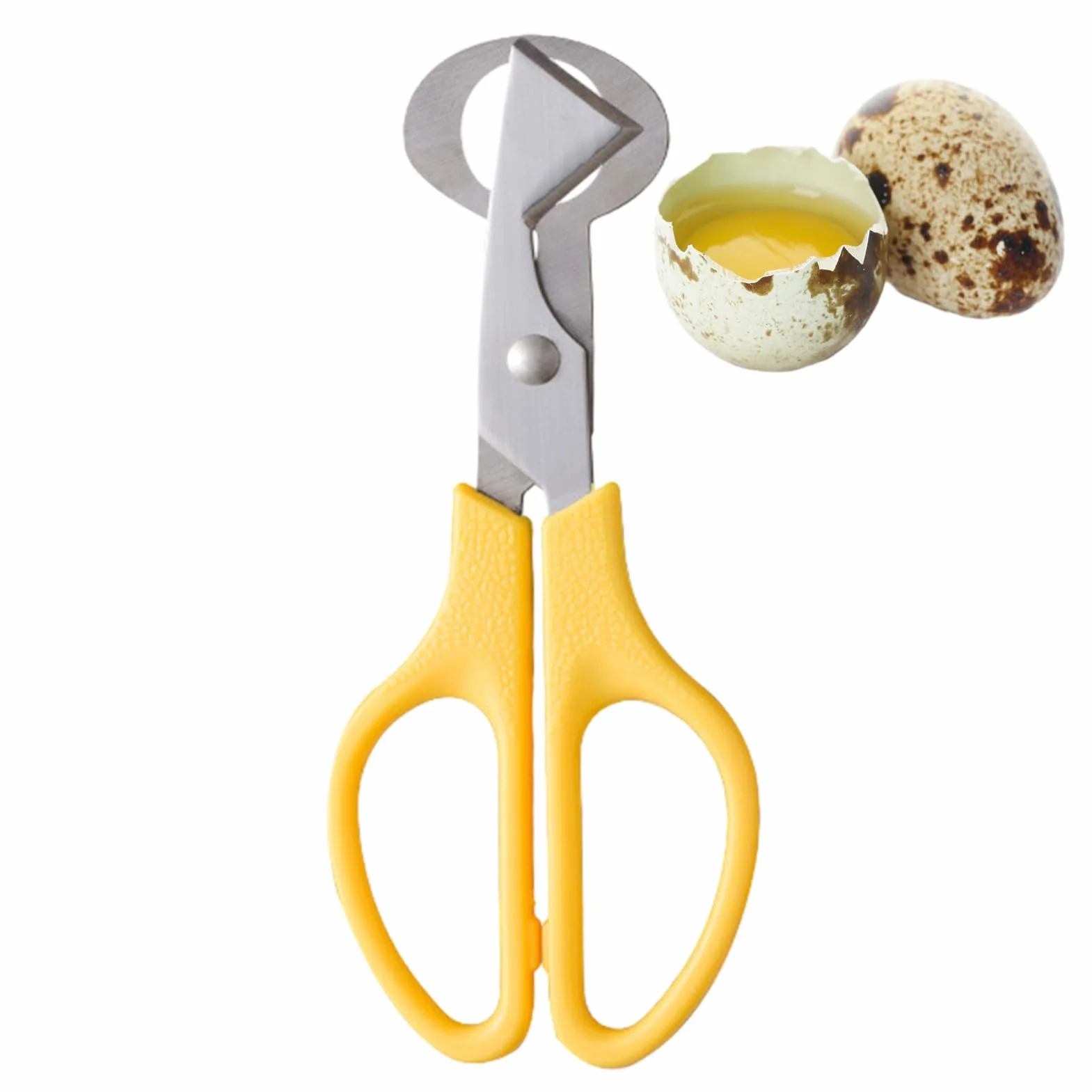 Tijeras de Huevo de Codorniz de Acero Inoxidable, Cortador de Huevos Pequeño