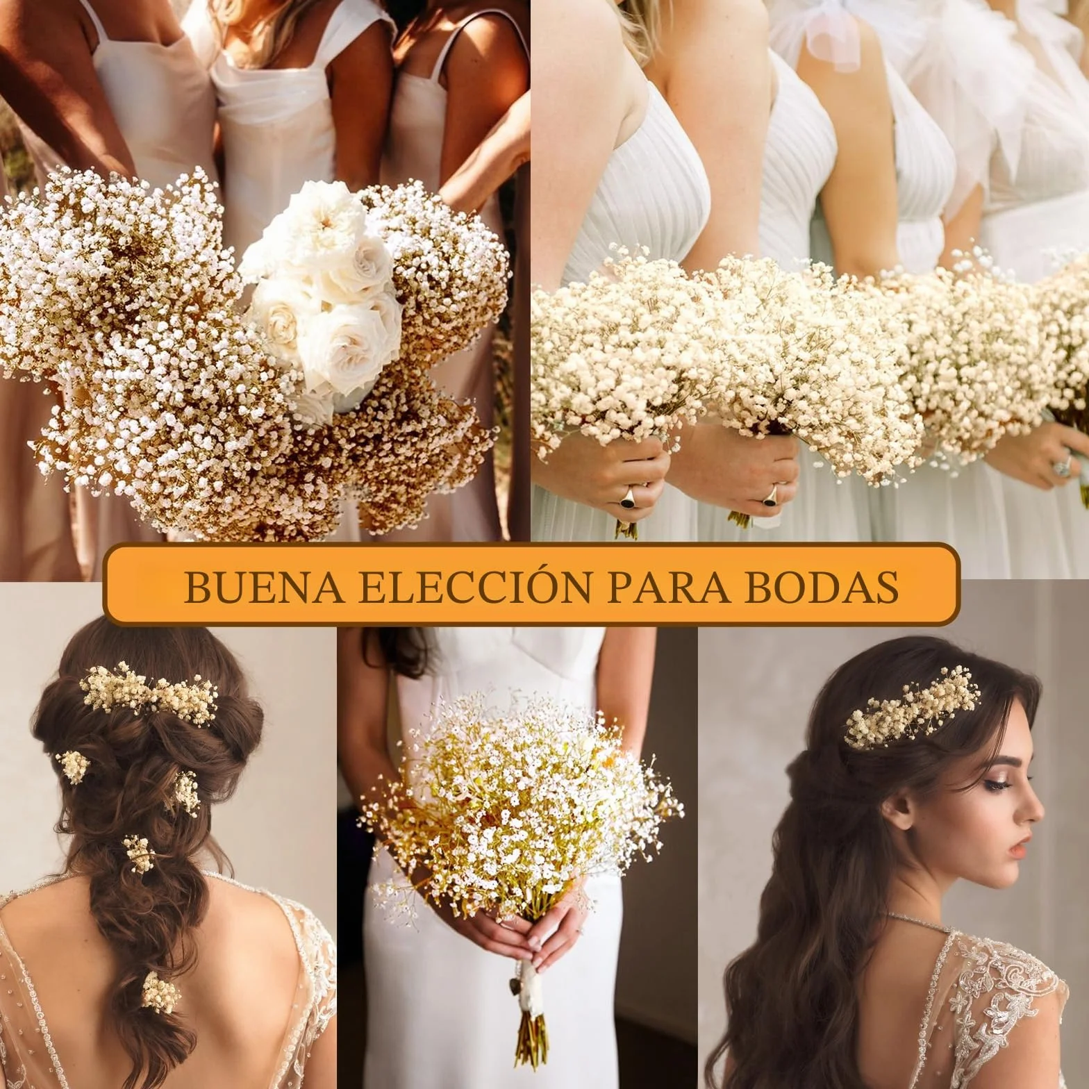 Ramo de Flores Secas Naturales Gypsophila Paniculata 43cm 3500+ Flores Blanco Marfil
