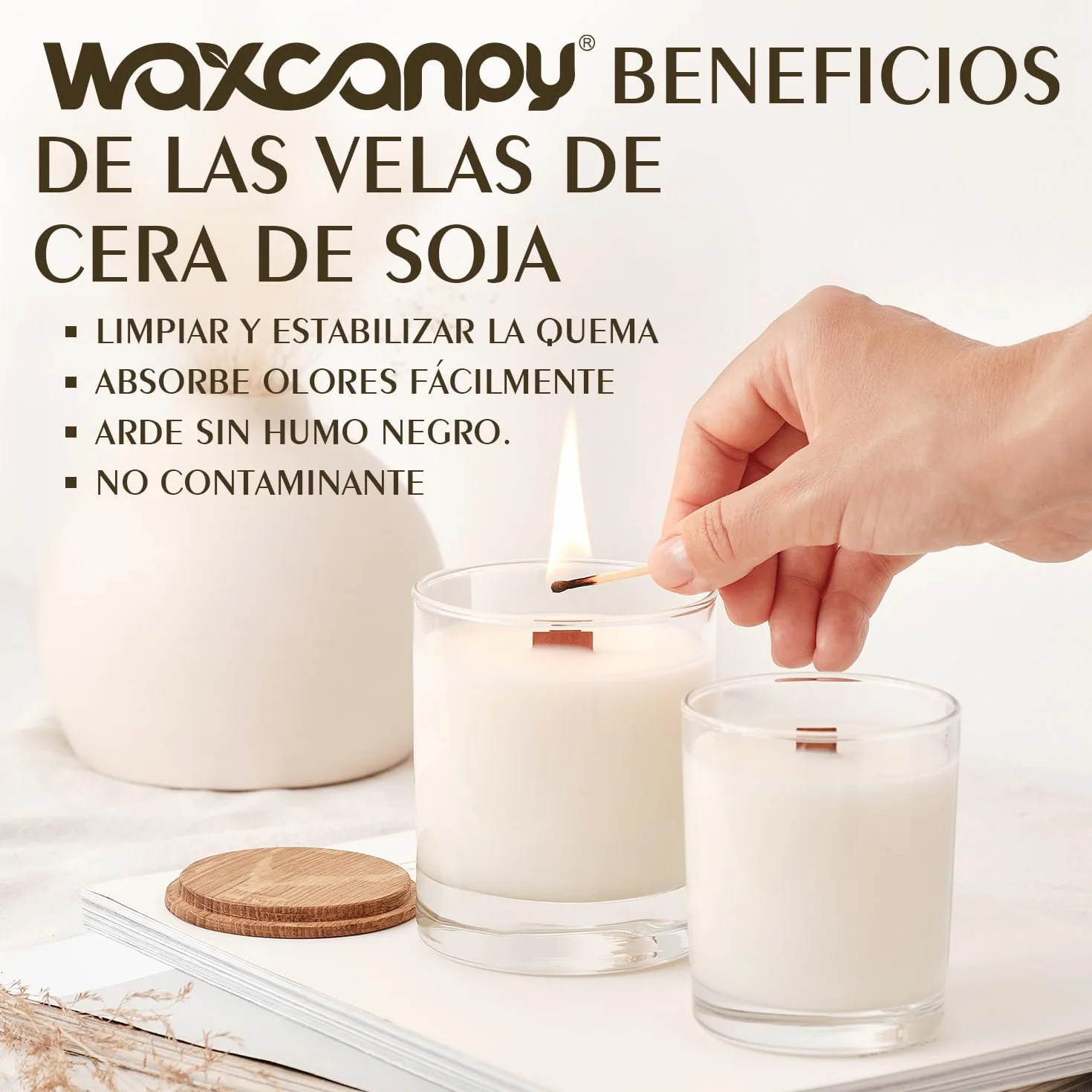 Cera de Soja para Velas 10kg, Cera de Soja Bajo Punto de Fusión para Hacer Velas Caseras, Material para Velas Aromáticas y de Color, 100% Natural