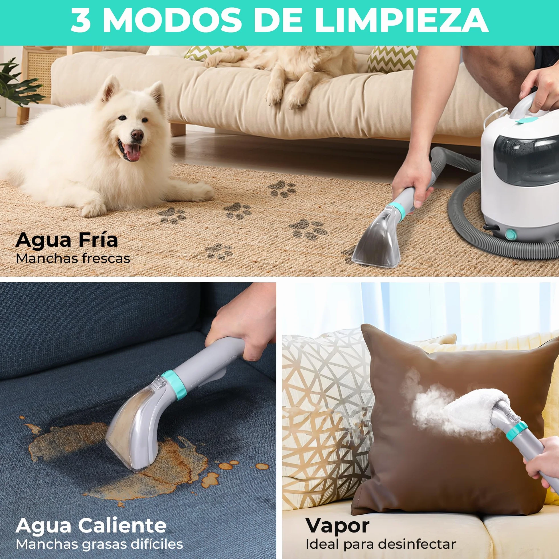 HAUSHOF StainZapper Vapo Limpiador de Alfombras a Vapor, Aspiradora de Agua Tapiceria con Funciones de Agua Caliente y Vapor, Limpia Tapicerias para Sofá, Moquetas, Incluye Detergente y Cepillo, 75 dB
