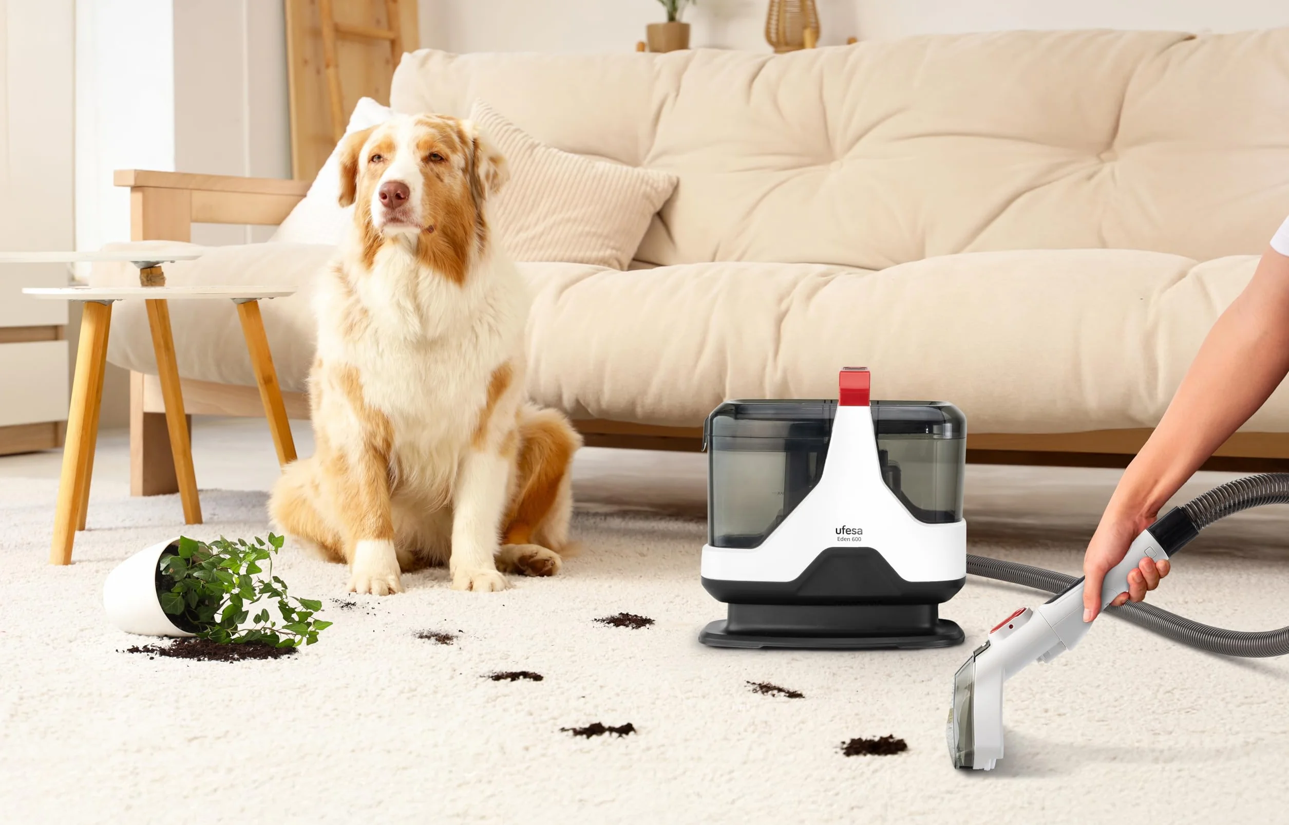 Ufesa Eden 600 Aspiradora de Tapicerías con Agua 600W, Doble Depósito, Succión de Líquidos y Sólidos, Cepillo Multifunción, Accesorio Limpiacristales, Ideal para Alfombras, Sofás, Coche y Cristales