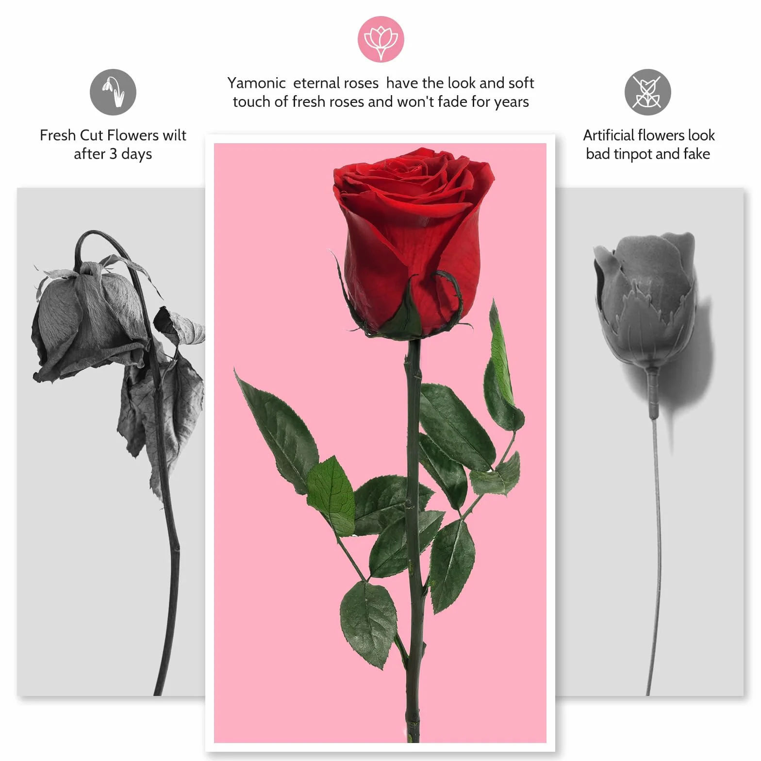 Yamonic Rosa Eterna Regalos para Mujer, Rosa Preservada con Tallo, Flores Preservadas Naturales Roja