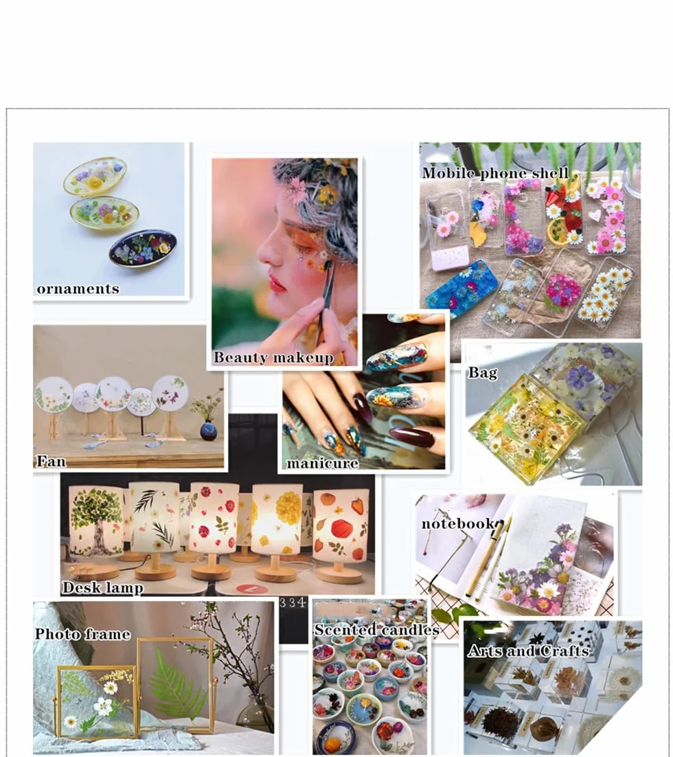 Flores Secas Naturales Mixtas 72 Piezas Kit para Resina Scrapbooking DIY