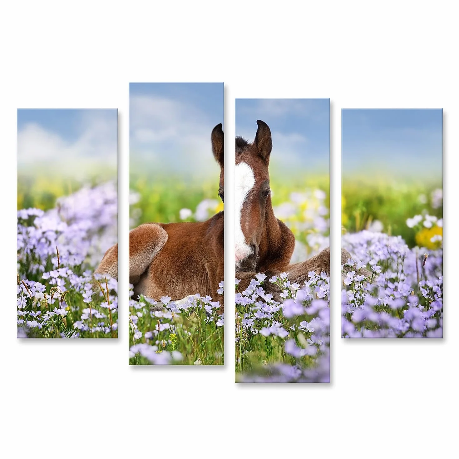 islandburner - Cuadro sobre lienzo (potro lindo sobre flores de prado, pequeño caballo suave para habitación de los niños, marco para póster de pared