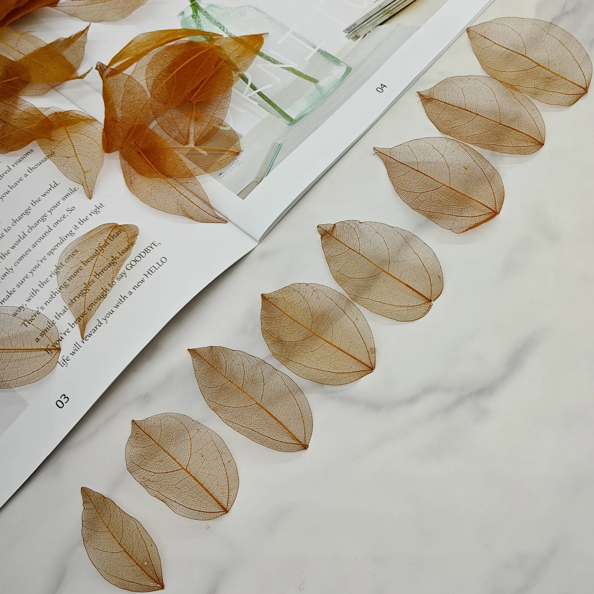 Hojas de Esqueleto Naturales Secos para Scrapbooking Bricolaje Cartonaje (marrón C)