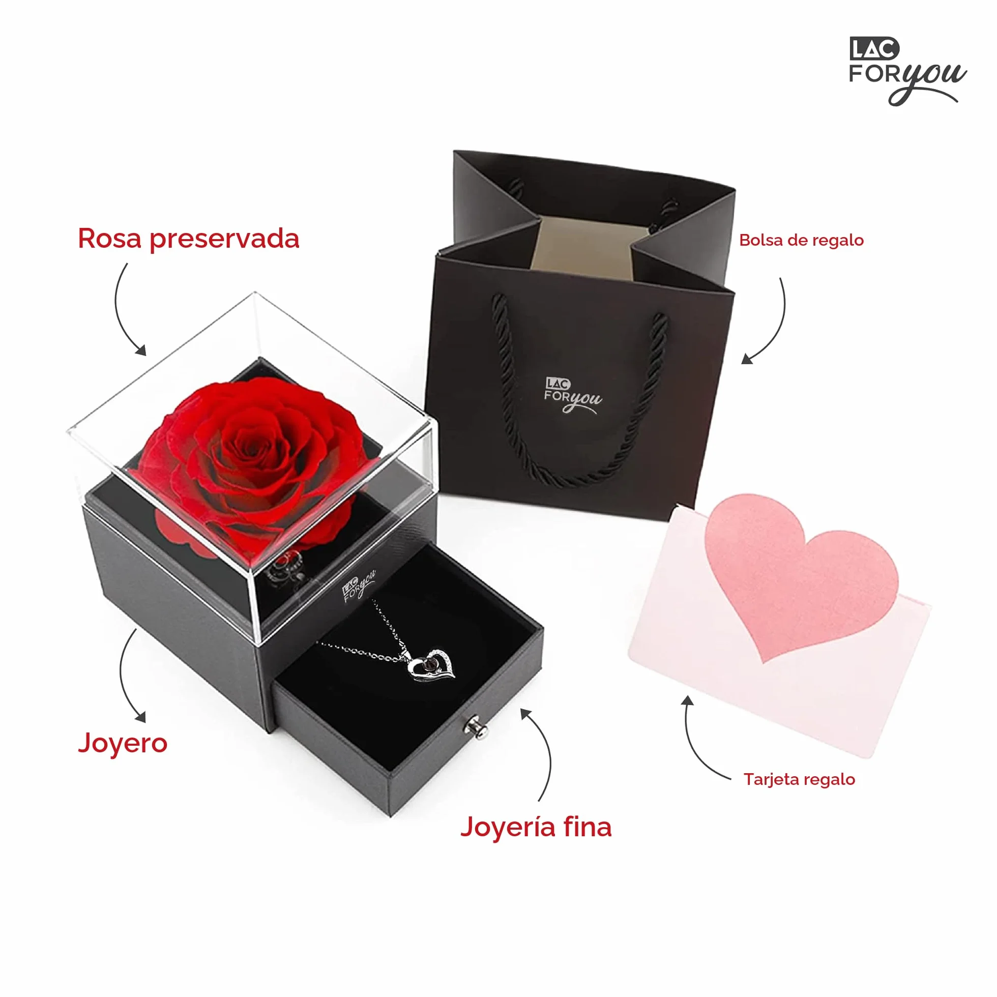 Rosa Eterna Natural Preservada Caja Rosa con Collar Regalo Mujer Novia Aniversario