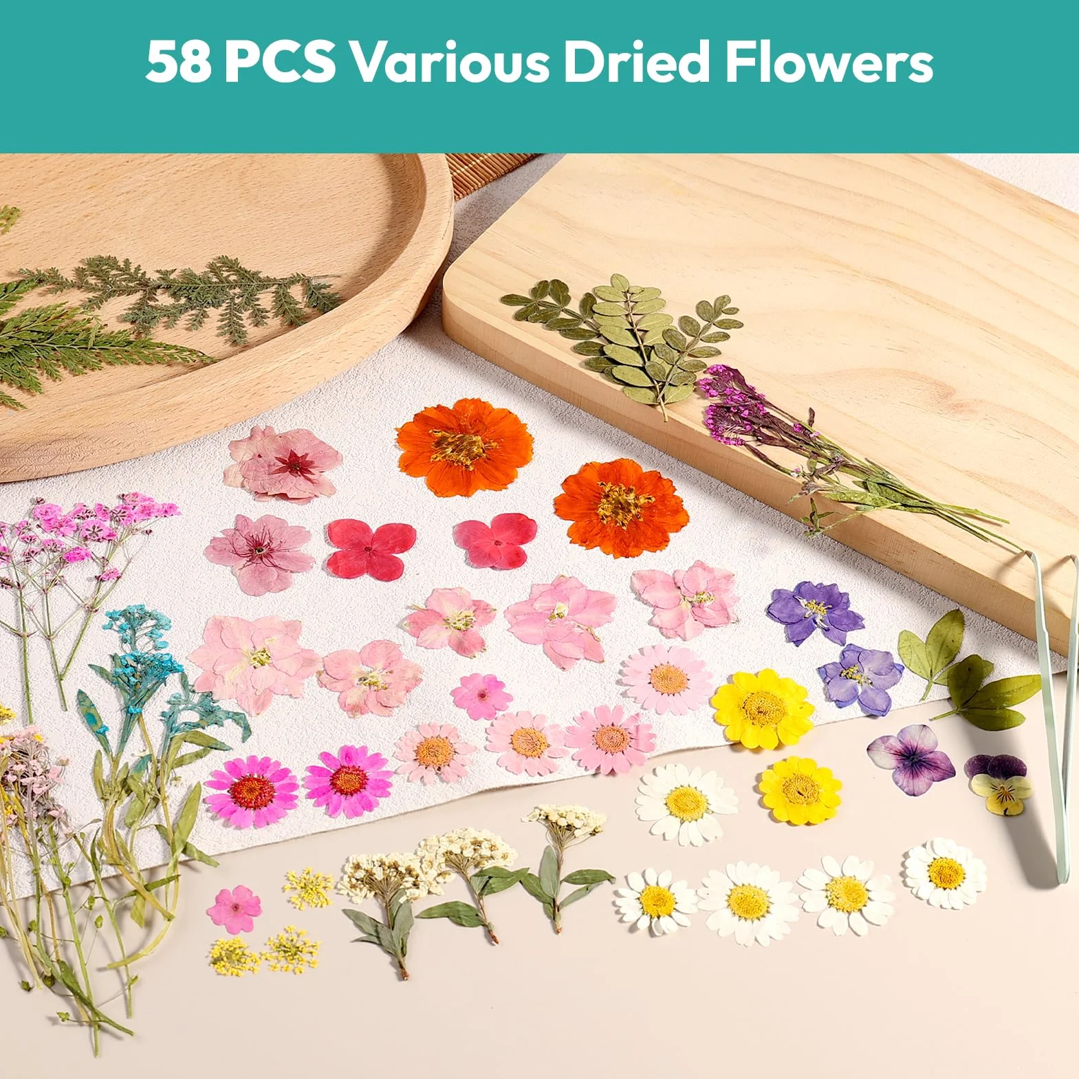 Resiners 58Pcs Flores Secas Prensadas para Moldes de Resina, Kit Hojas Reales para Manualidades Joyería Scrapbook DIY