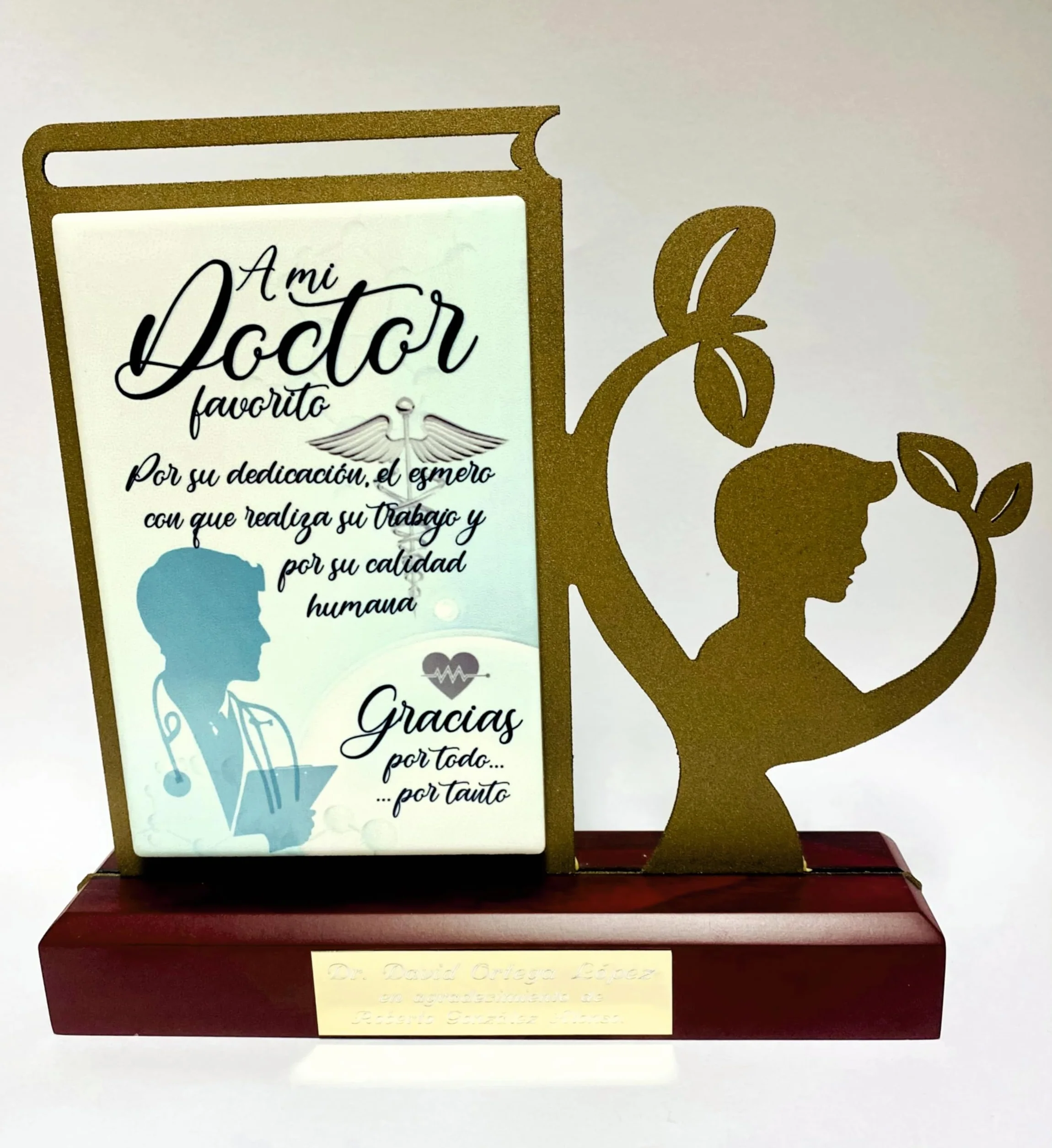 Regalo Médico Doctor para Agradecimiento, Figura Personalizada con dedicatoria de Acero Satinado