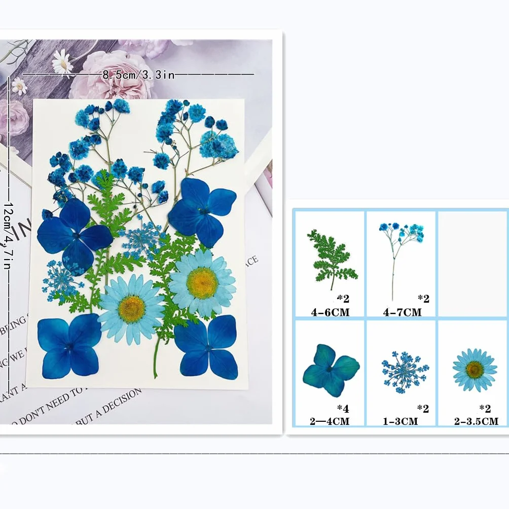 Flores Secas Naturales Mixtas 72 Piezas Kit para Resina Scrapbooking DIY