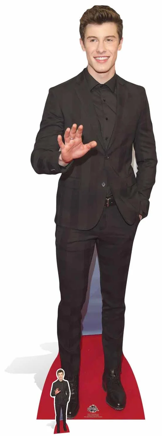 Star Cutouts Shawn Mendes (cartón, Multicolor