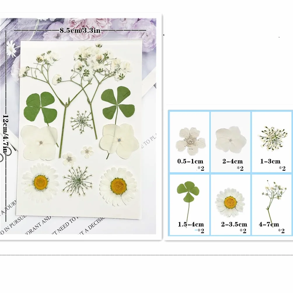 Flores Secas Naturales Mixtas 72 Piezas Kit para Resina Scrapbooking DIY