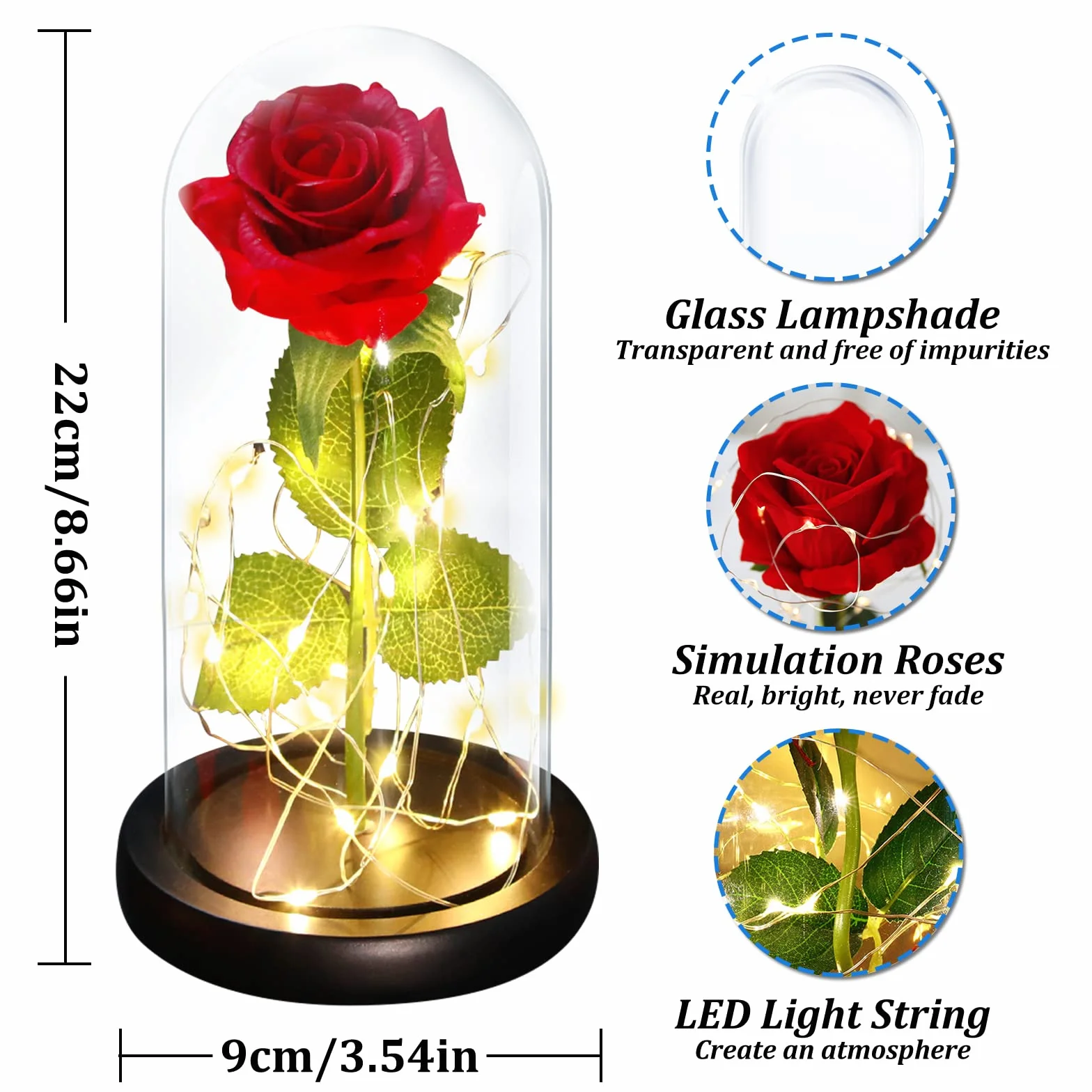 Rosa Eterna Kit Elegante con Cúpula de Cristal Base Pino Luces LED Tarjeta de Felicitación Bella y Bestia