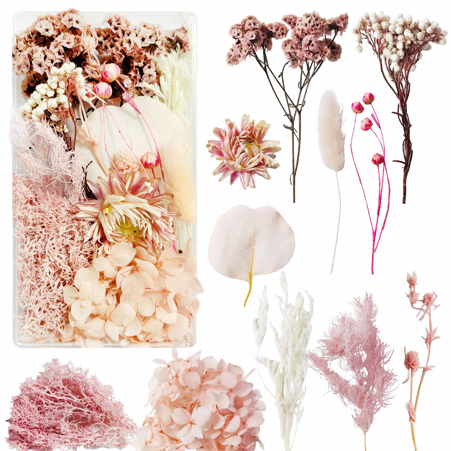 Flores Secas Naturales Preservadas para Manualidades Decoración DIY (Rosa)