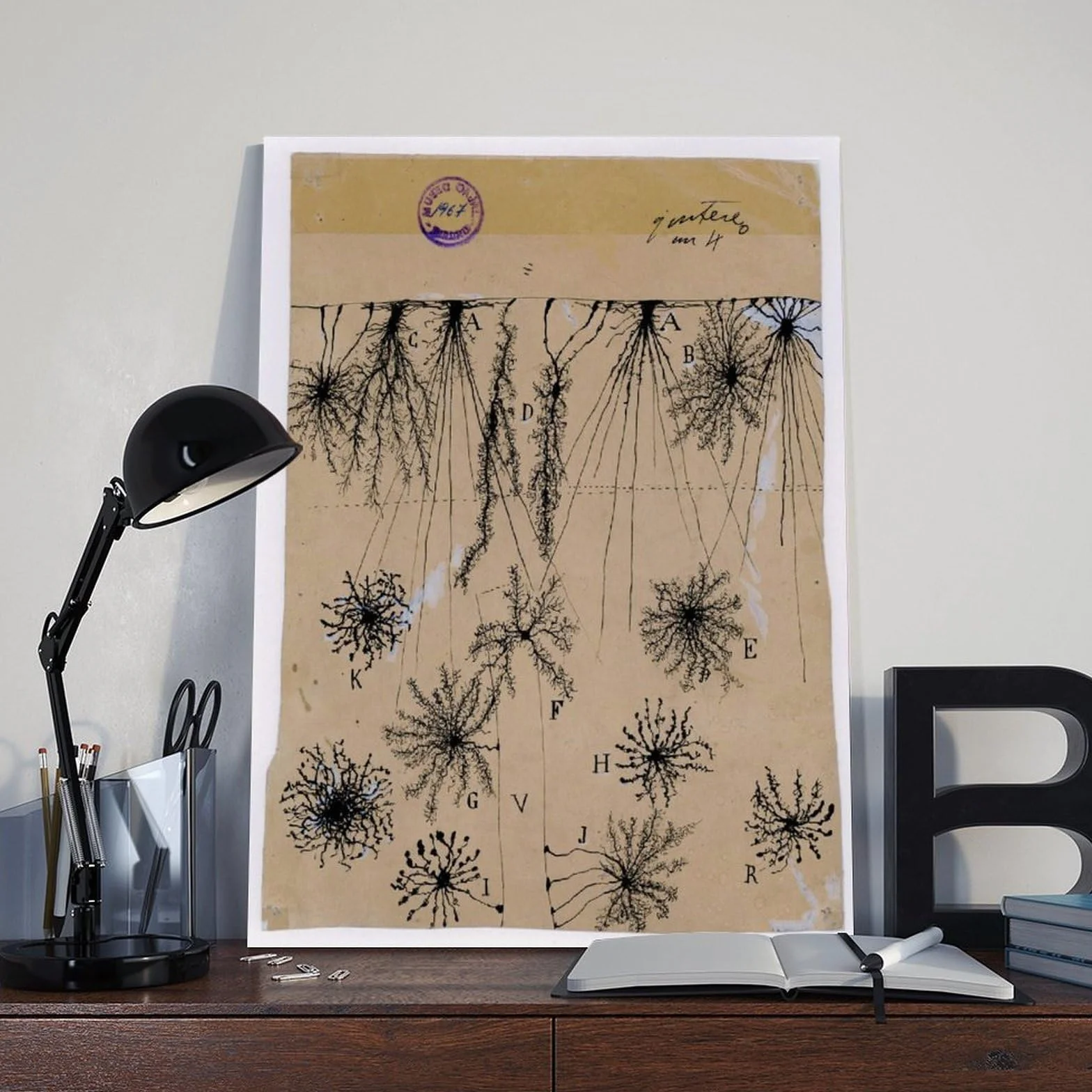 Cuadro de neuronas Cajal – Póster de anatomía cerebral antigua de células gliales para dormitorio, lienzo para decoración de pared, oficina, habitación, decoración estética, marco de regalo, 12 x 18
