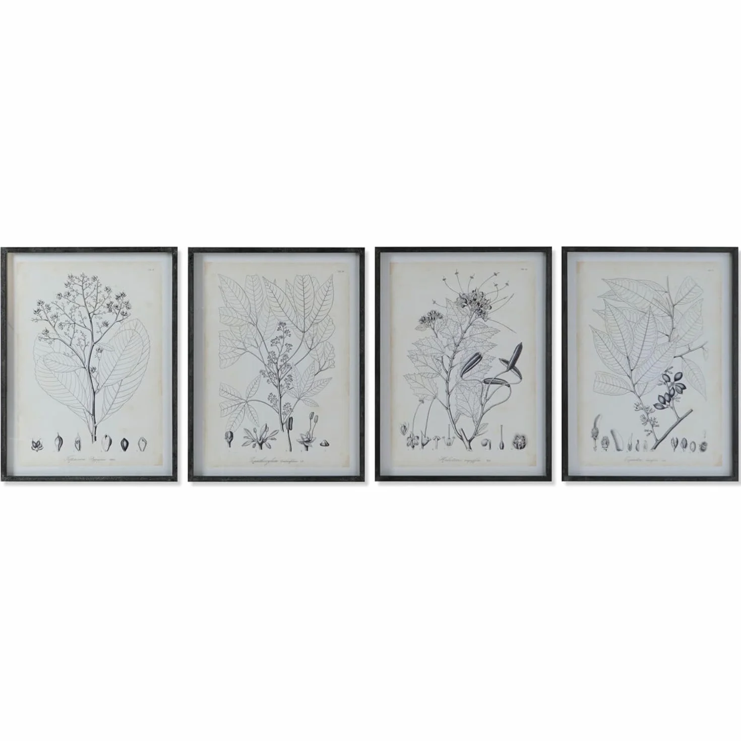 DKD Home Decor Cuadro de la Marca, Multicolor (2,5 x 45 x 60 centímetros) (4 Unidades)
