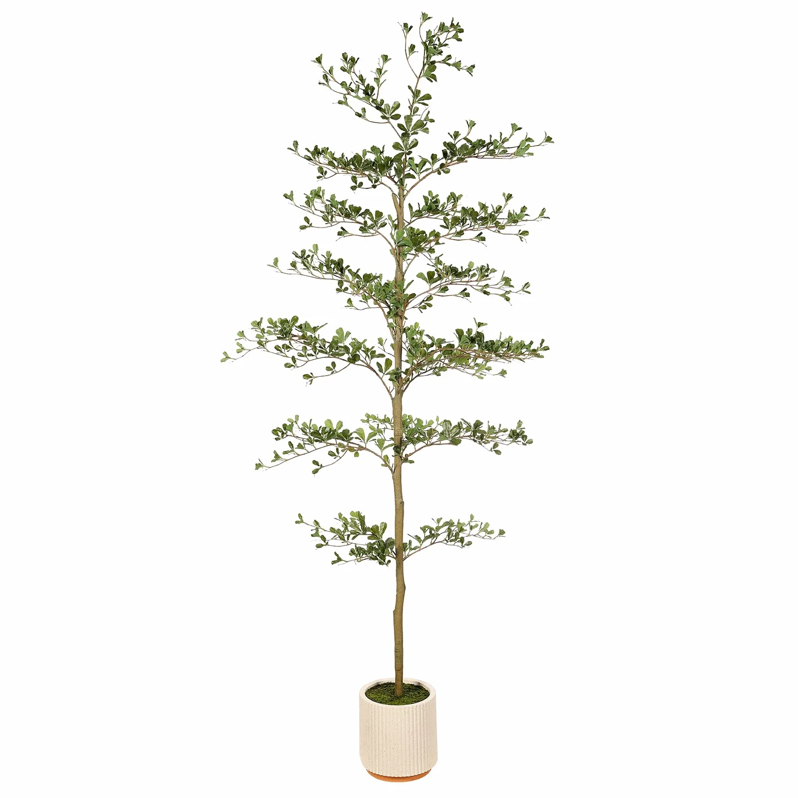 FEELEAD Olivo negro sintético de 7 pies – Árbol artificial realista de mujer sombreado de 7 pies con maceta para interiores, olivo negro falso con ramas naturales y hojas realistas para decoración del