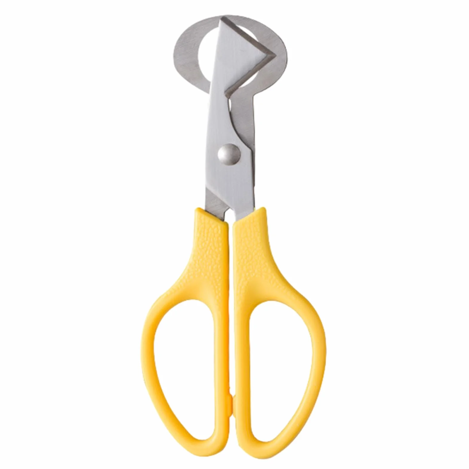 Tijeras de Huevo de Codorniz de Acero Inoxidable, Cortador de Huevos Pequeño