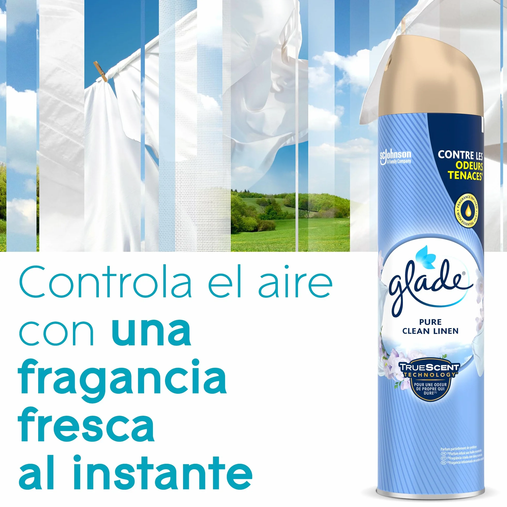 Glade Ambientador Aerosol Relax Zen 300ml Eliminación de Malos Olores 1 Unidad
