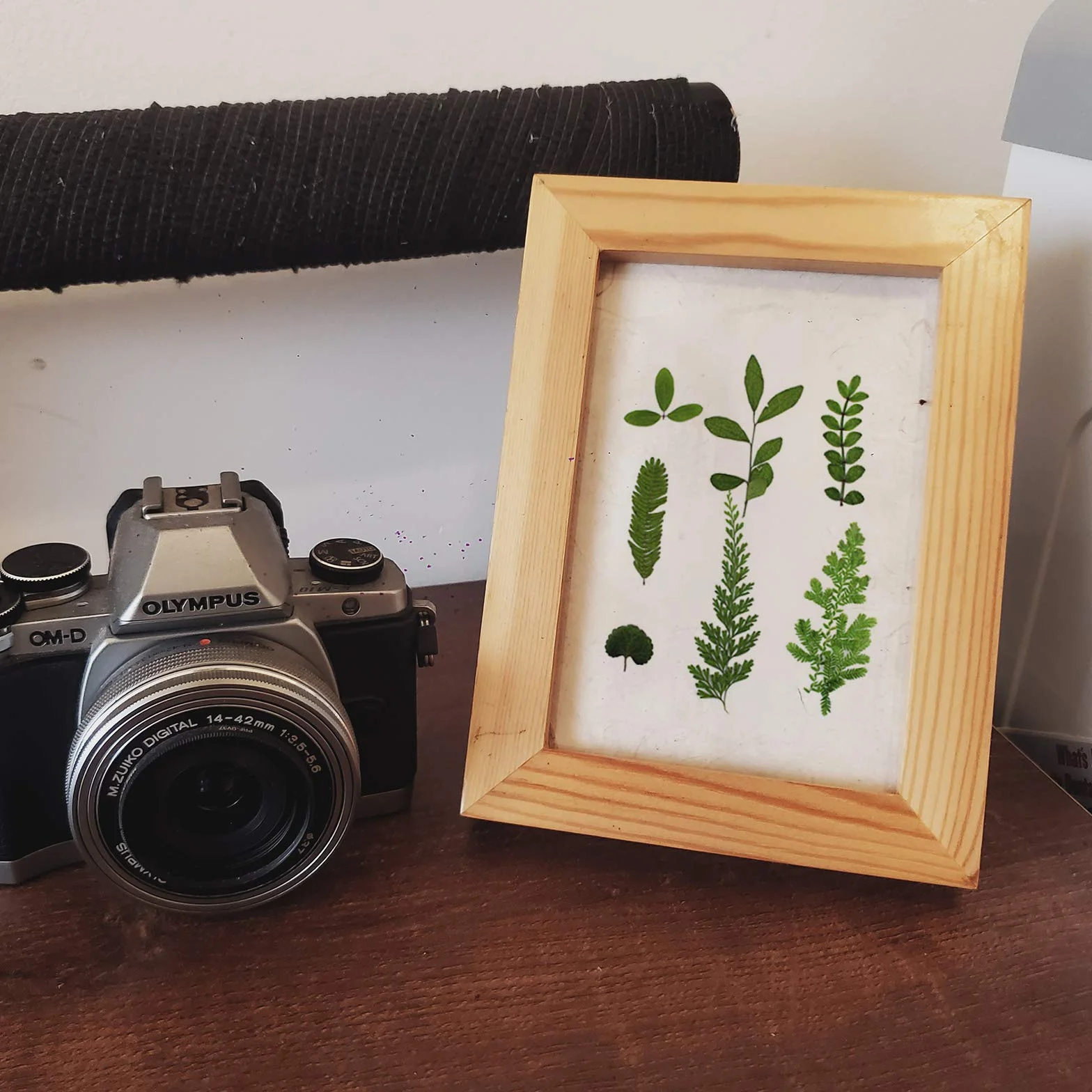 Naturales Reales Hojas Secas Prensadas de Plantas de Herbario Mezclados para Manualidades de Resina DIY Pegatinas de Uñas Adornos Decoraciones