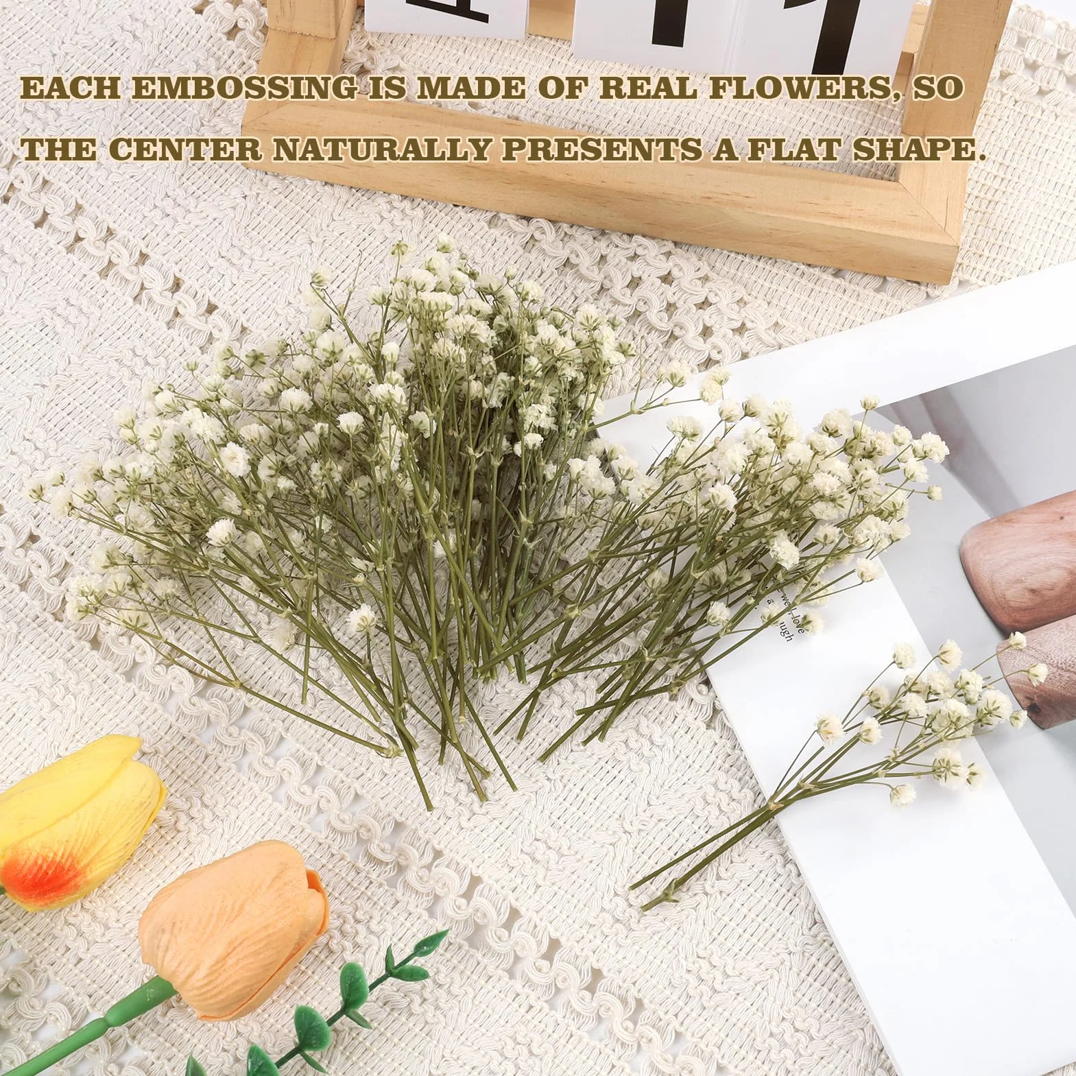 Gypsophila Blanca Natural Flores Secas Prensadas 50PCS para Decoración Joyería Manualidades Resina Tarjetas