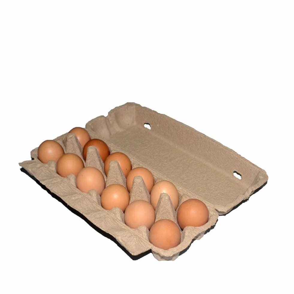 Cajas de huevos para 12 huevos, paquete de 5/10/20 cajas de pulpa reciclada biodegradables, almacenamiento vacío de huevos grandes, granja, suministros de comestibles alternativos de plástico