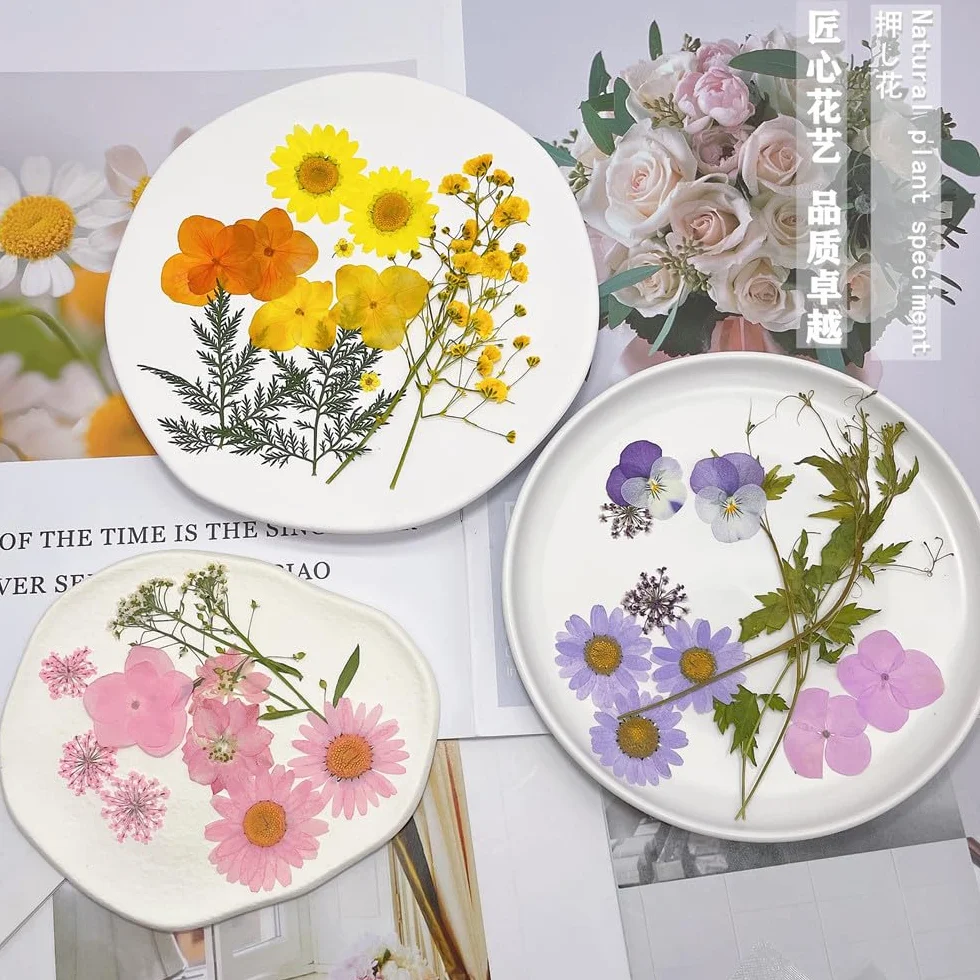 Flores Secas Naturales Mixtas 72 Piezas Kit para Resina Scrapbooking DIY