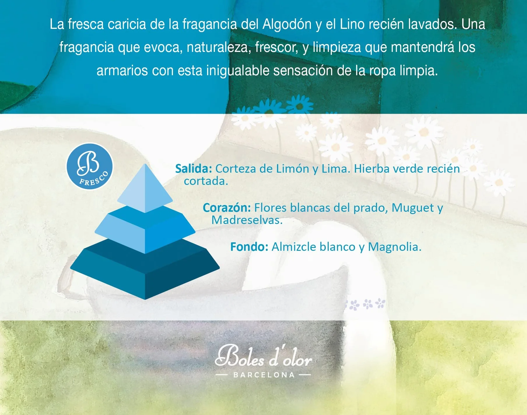 Brumas Cotonet Boles d'olor Ambient fragancia para difusores de aroma 50ml
