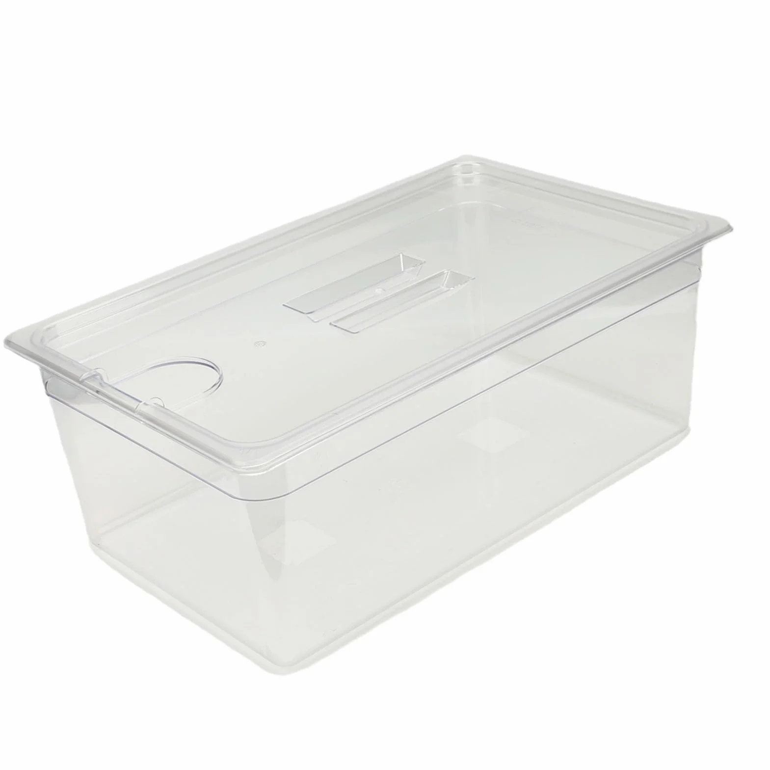 Acouto Contenedor Sous Vide de 25L, Material PP Transparente, Tanque de Agua de Cocción Lenta con Tapa para Cocinar en Casa y Preparar Comidas