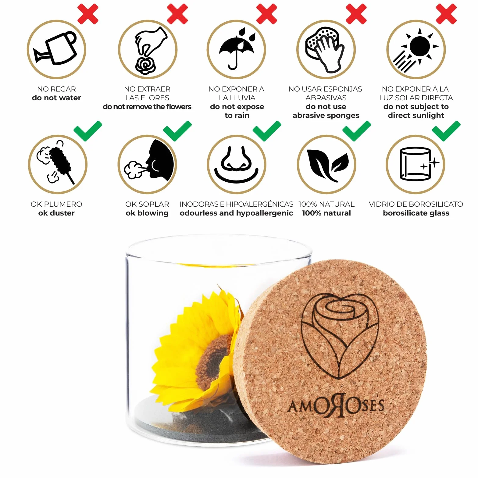 Amoroses Sunflo – Girasol estabilizado flor eterna en tarro de cristal | Idea regalo